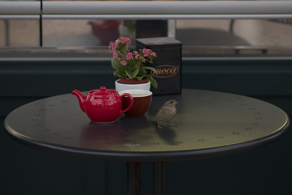 Un avventore insolito