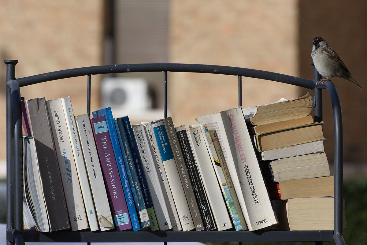 La biblioteca del passero