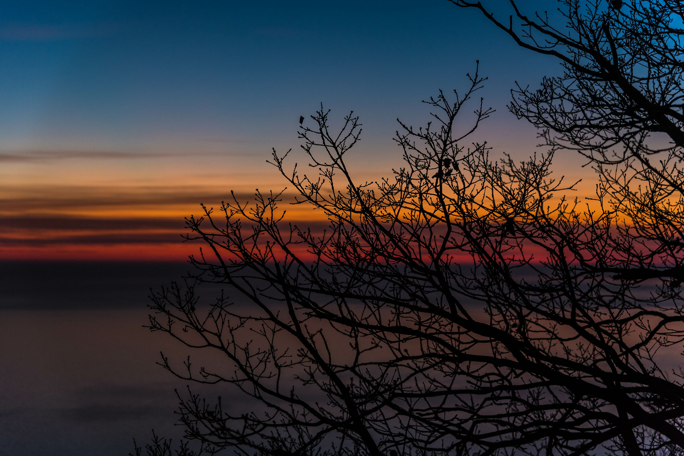 Tramonto sulla Napoleonica