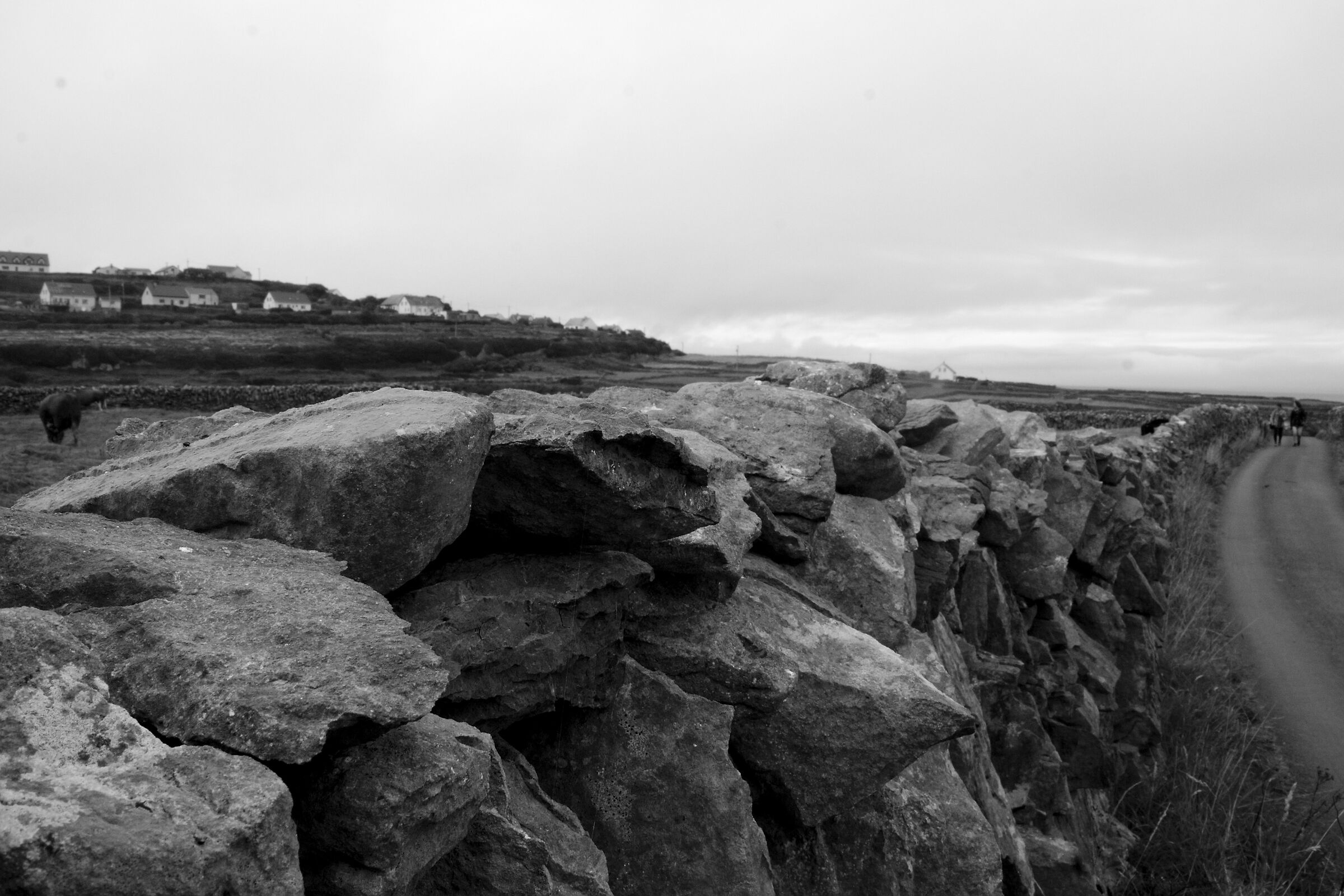 Muri a secco in pietra ovunque