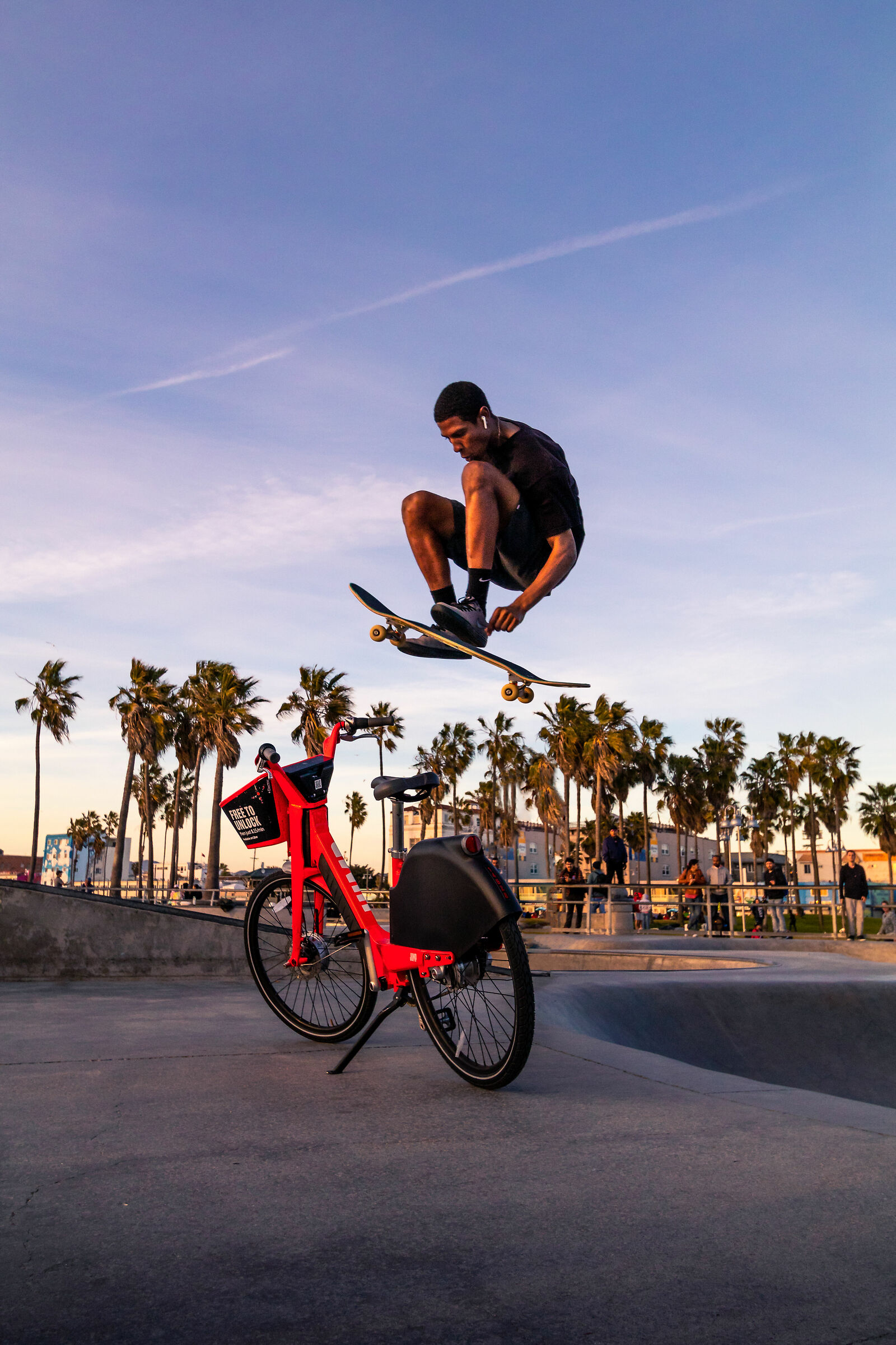 Skater in Venice Beach