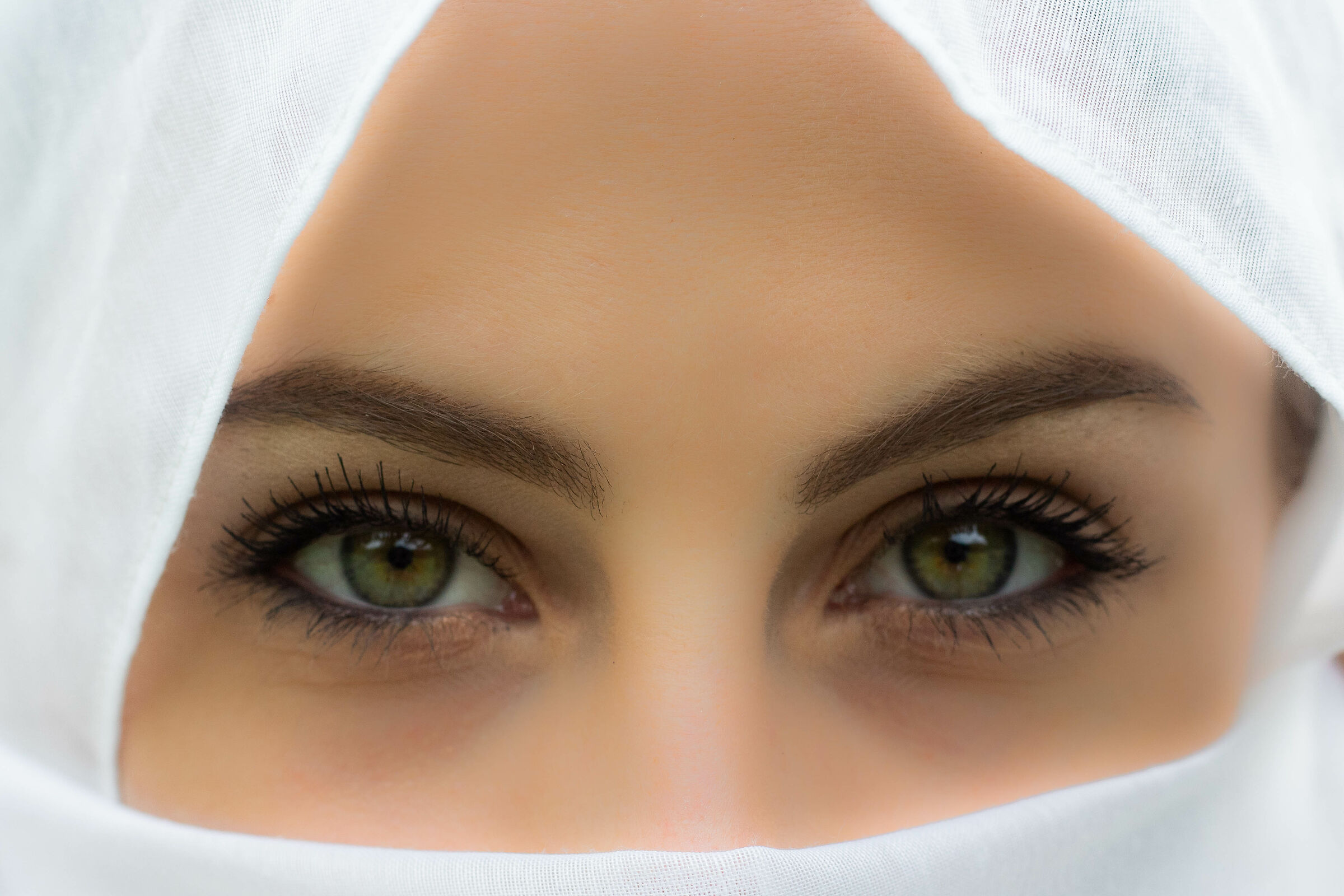 Gli occhi della tigre