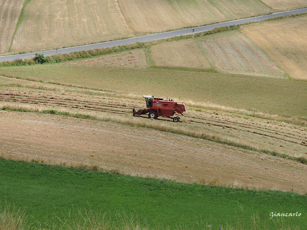 dalle dolci e verdi colline