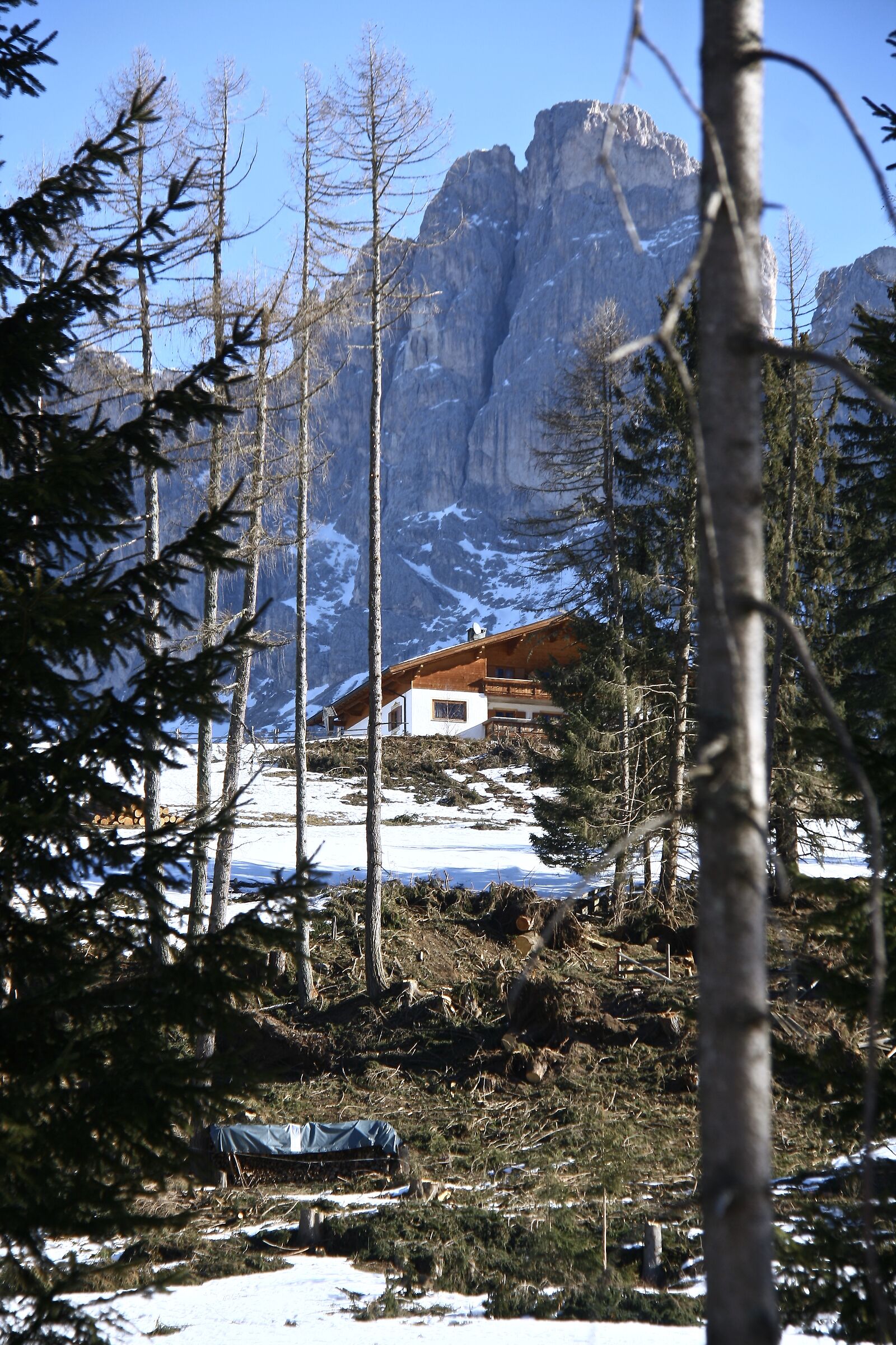 scorcio dolomitico