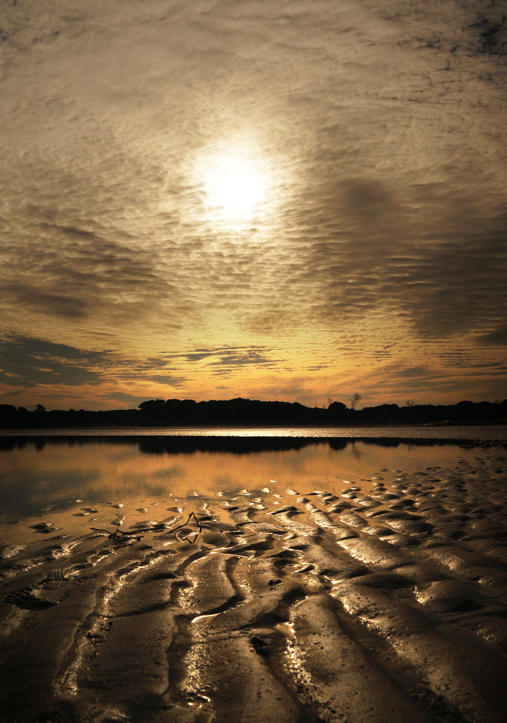 .... magie dell'Alto Adriatico....