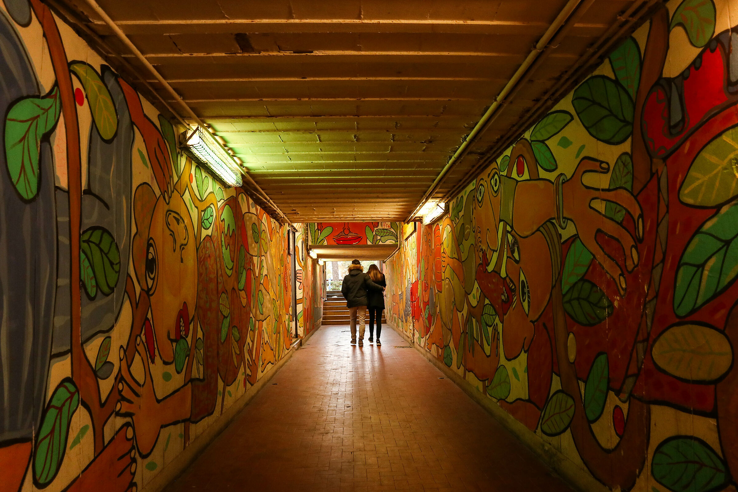 We color all the walls