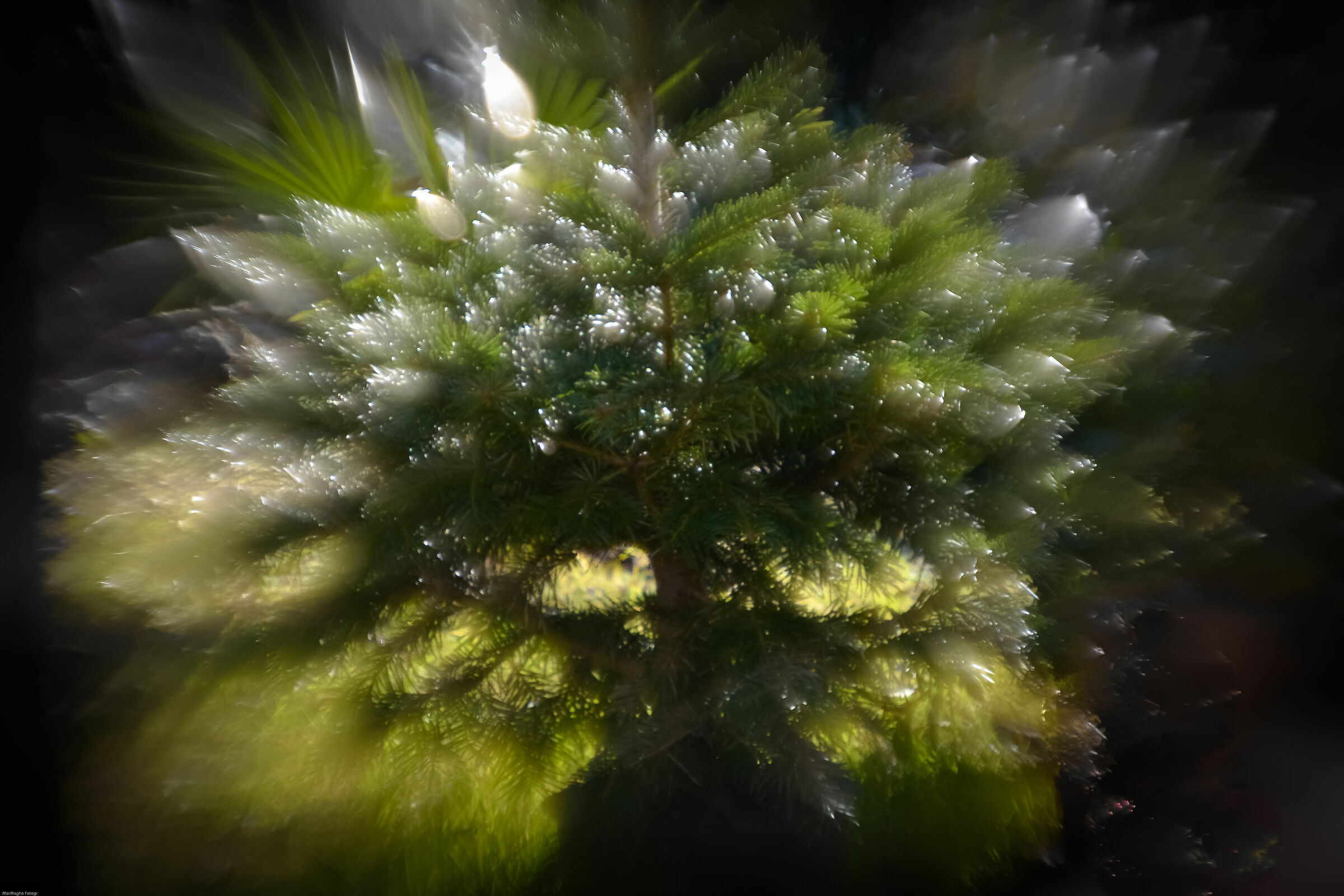 Explosion in the woods