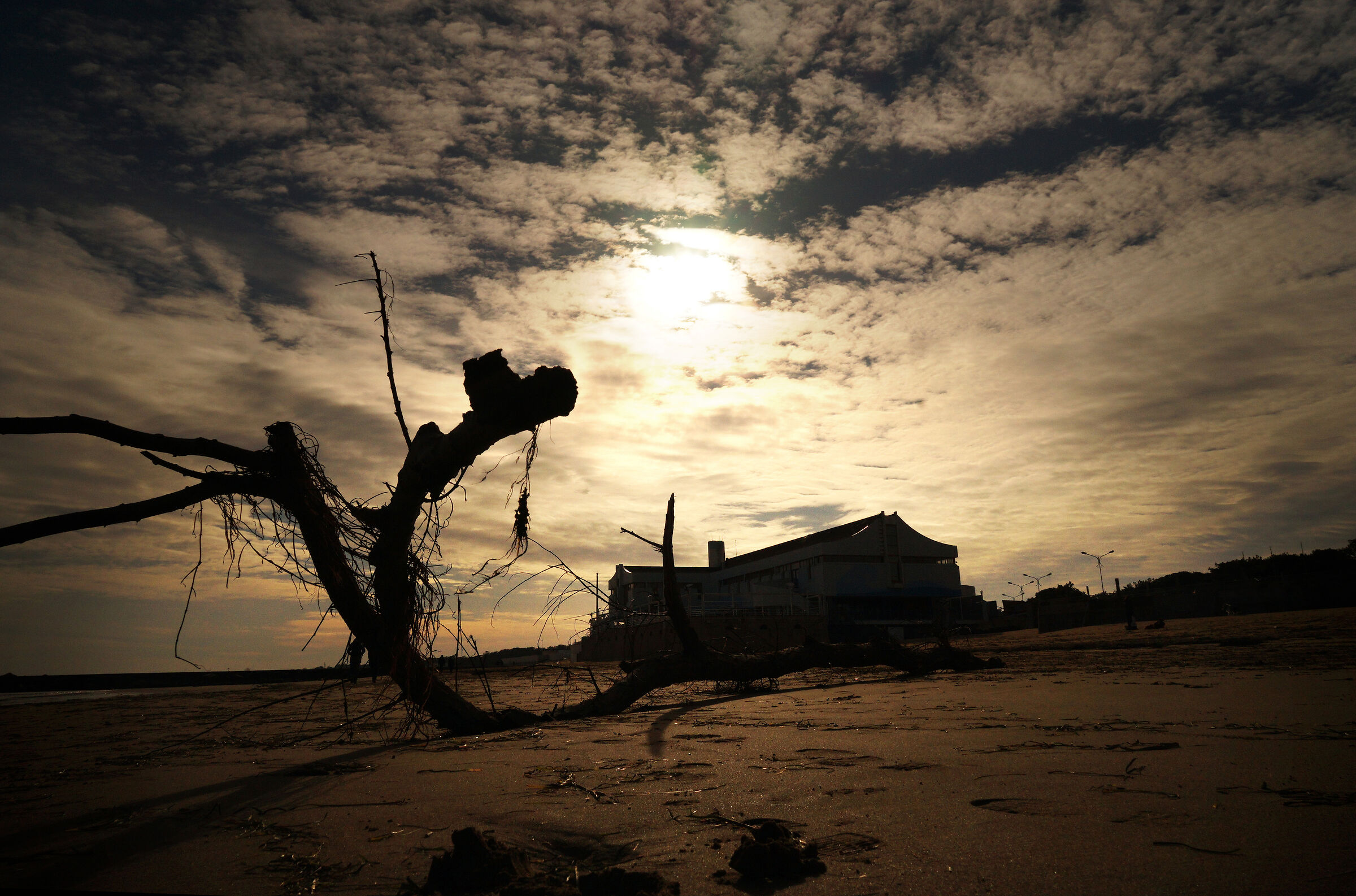 ..... dopo il fortunale.....