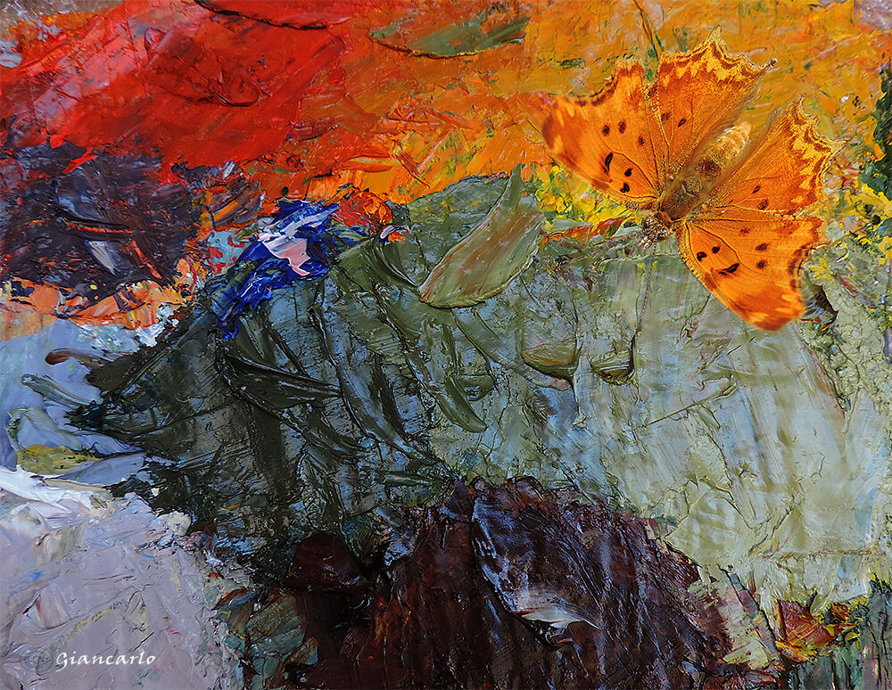 Fusion between nature and color