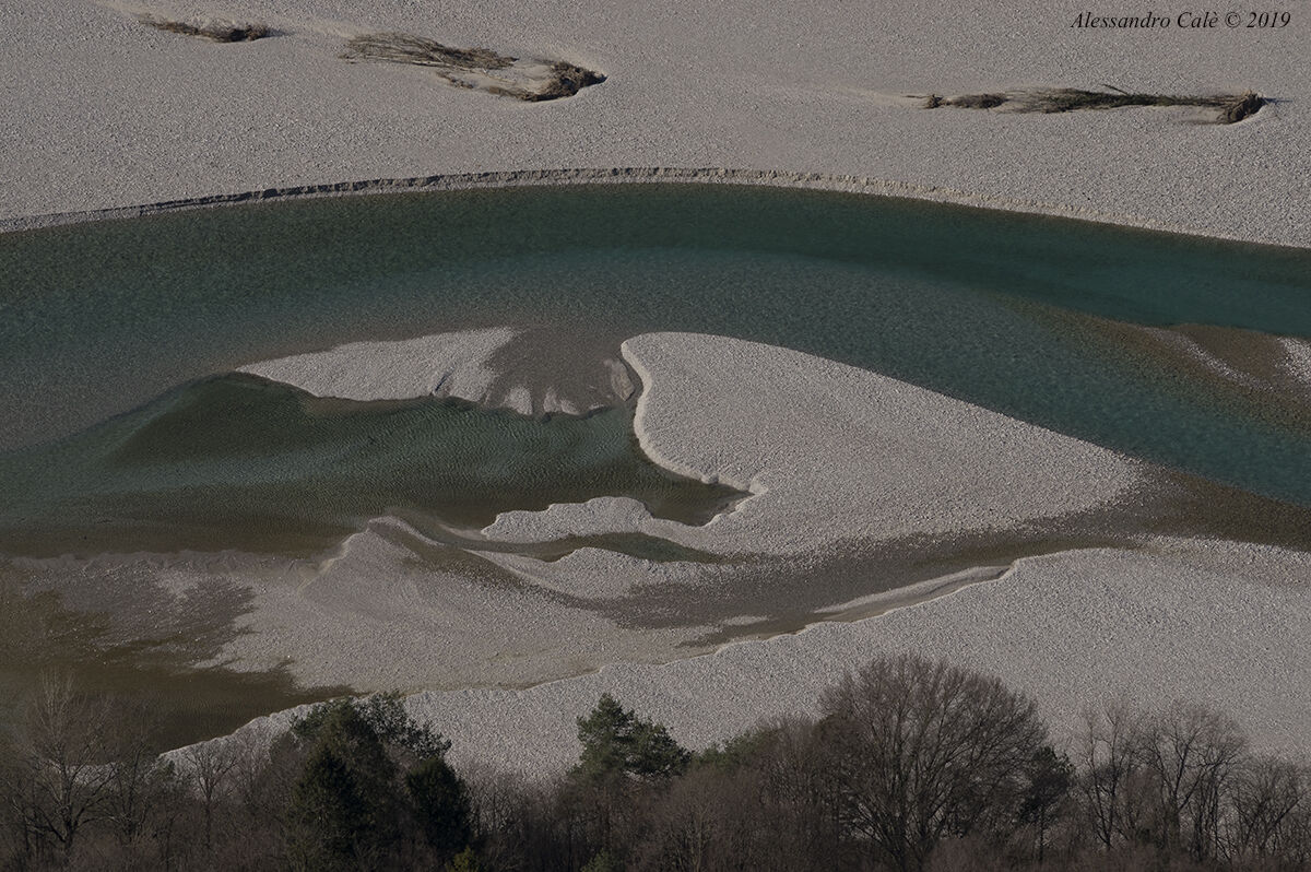 Le anse del Tagliamento 8841