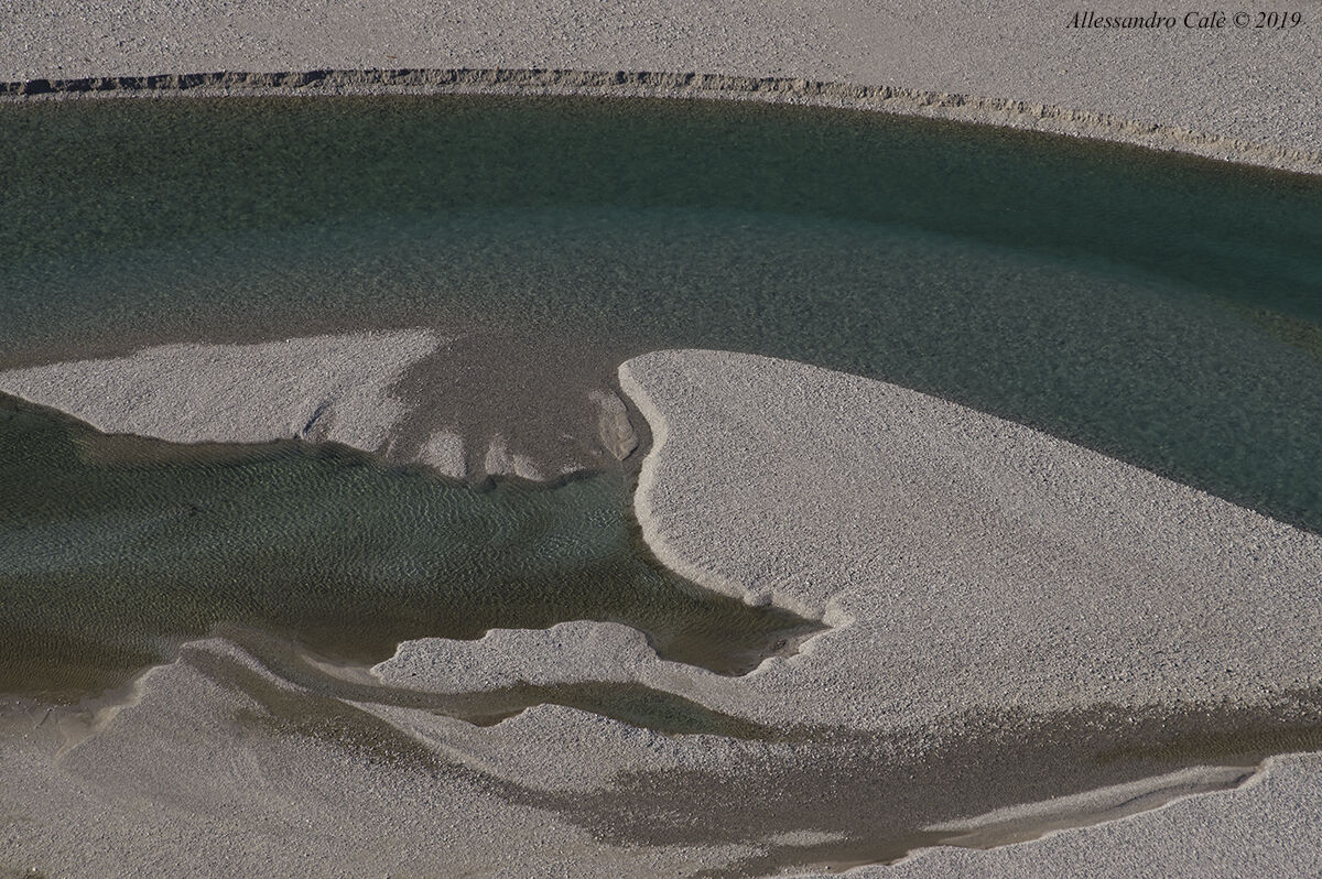 Le anse del Tagliamento 8844