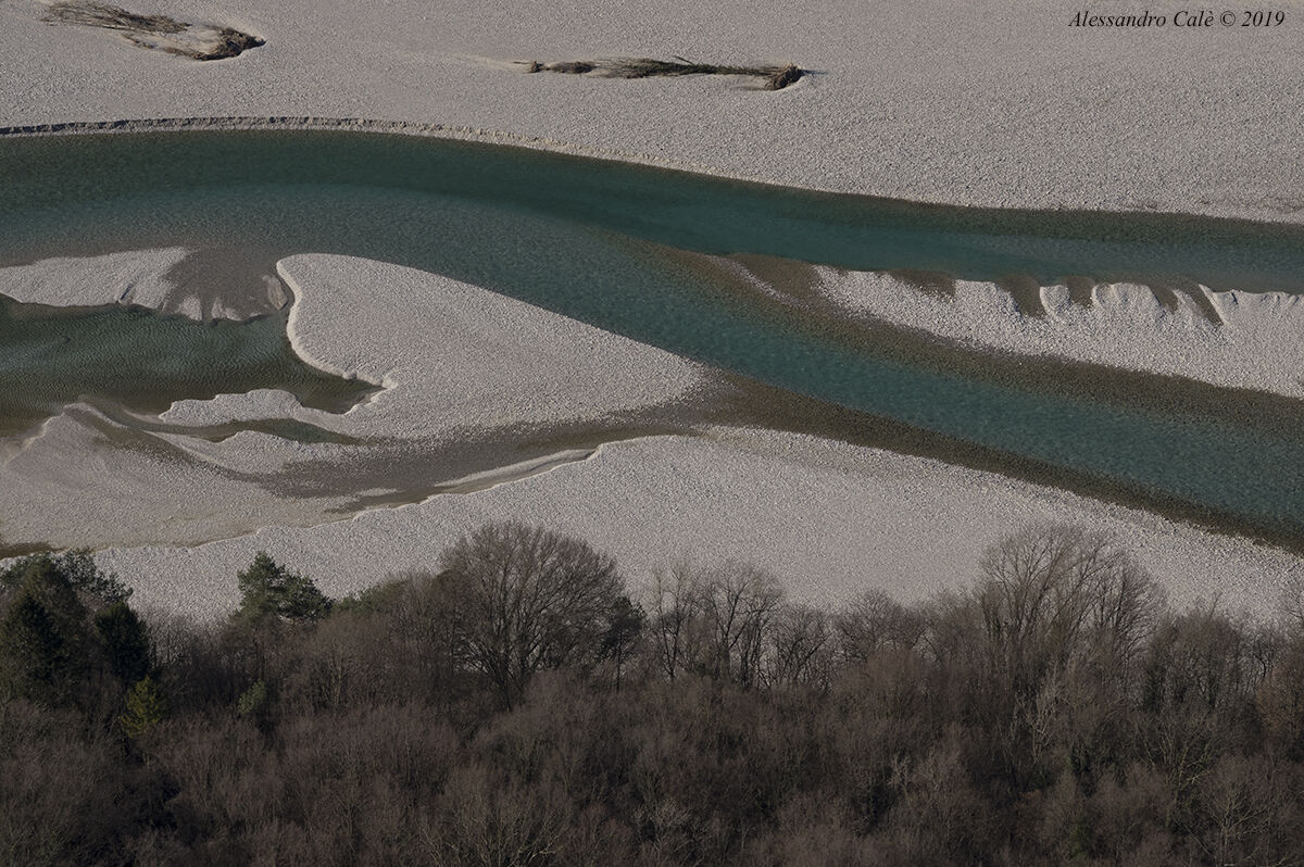 Le anse del Tagliamento 8867