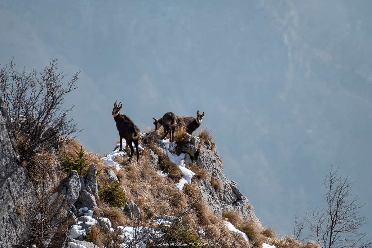 Two discles... Under control...