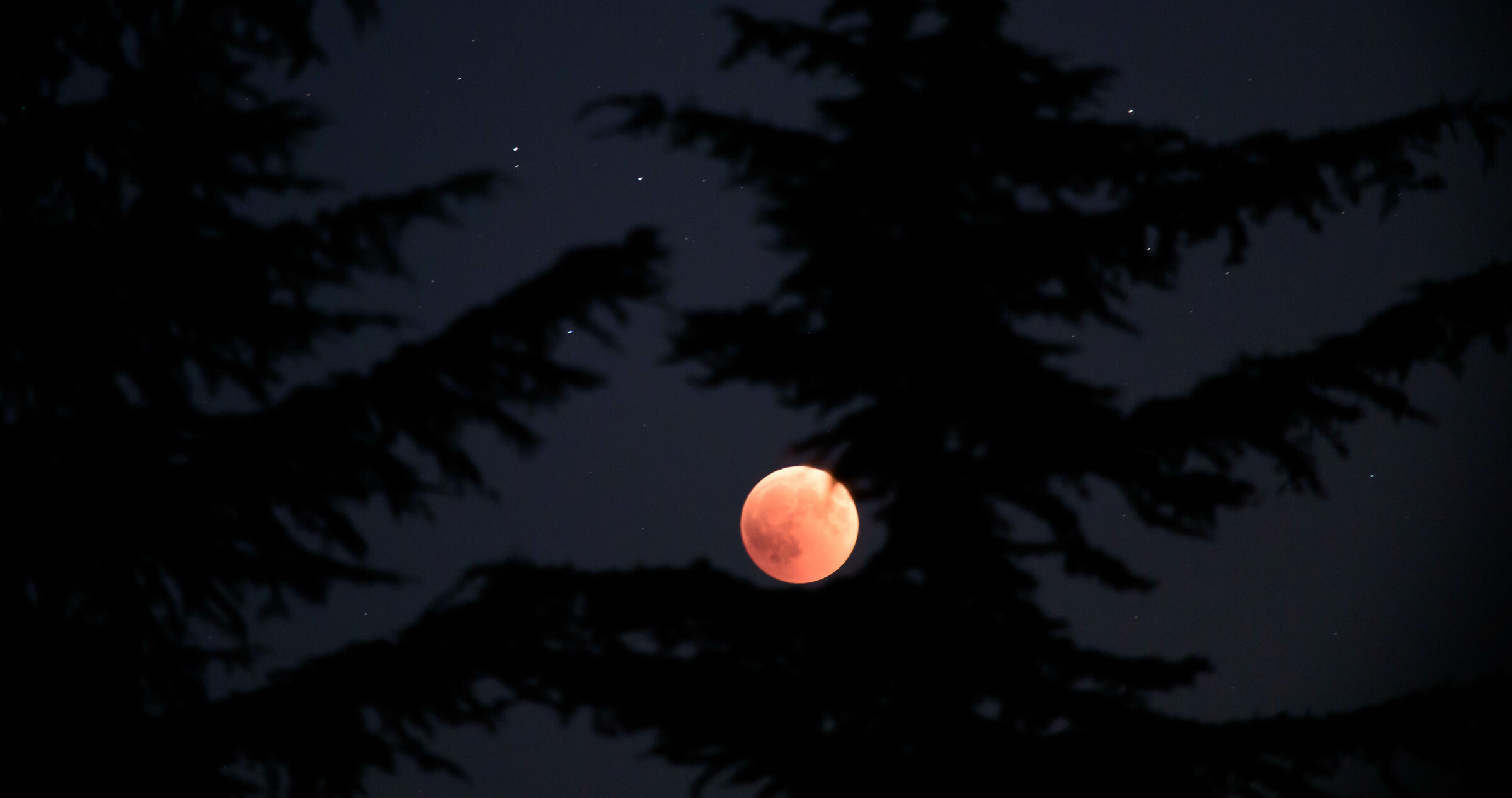 Red moon