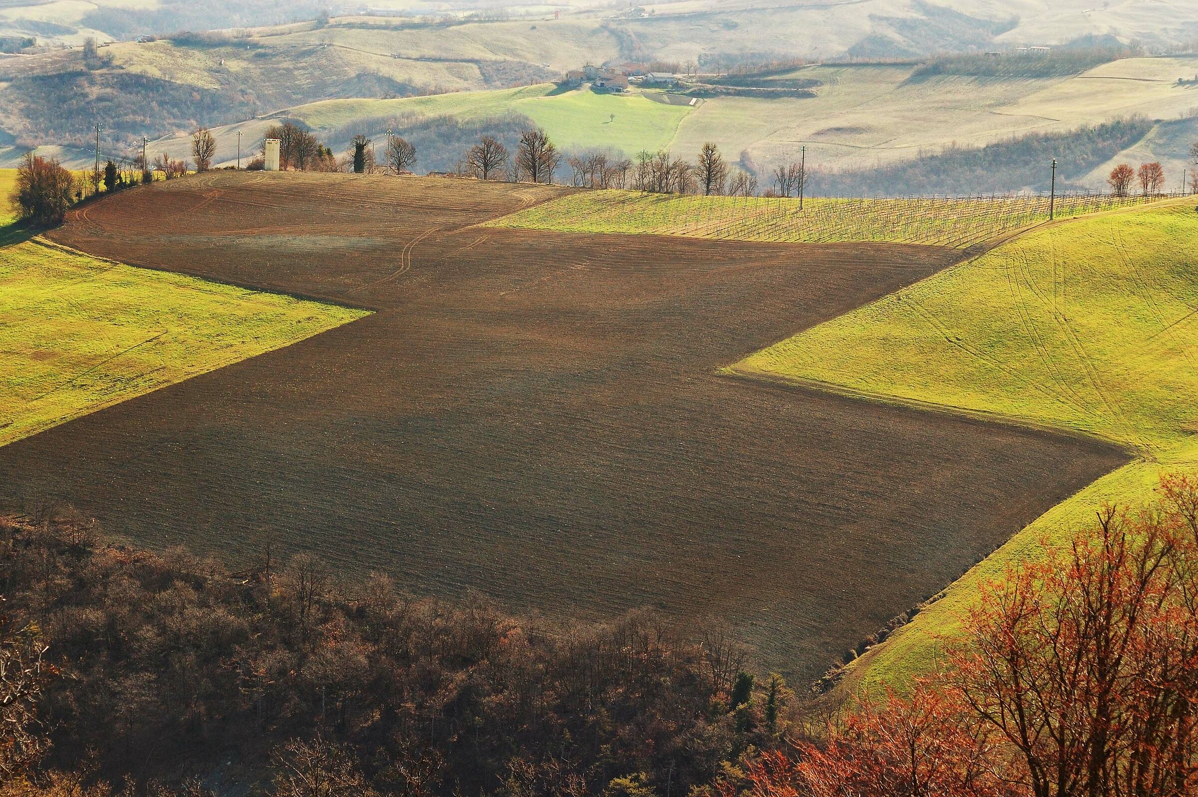 controluce in collina