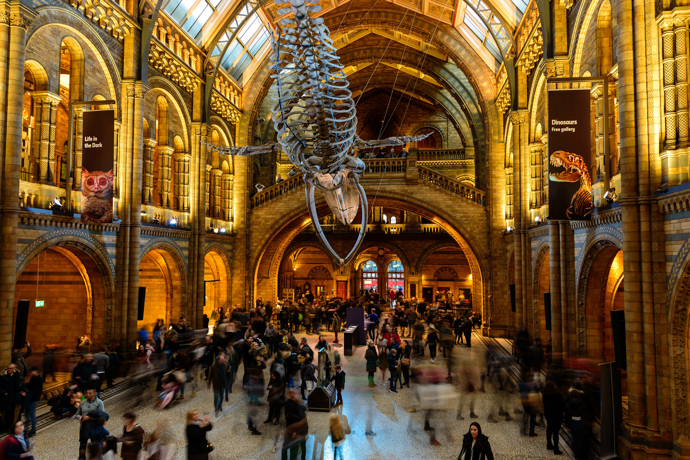 Museo di storia naturale