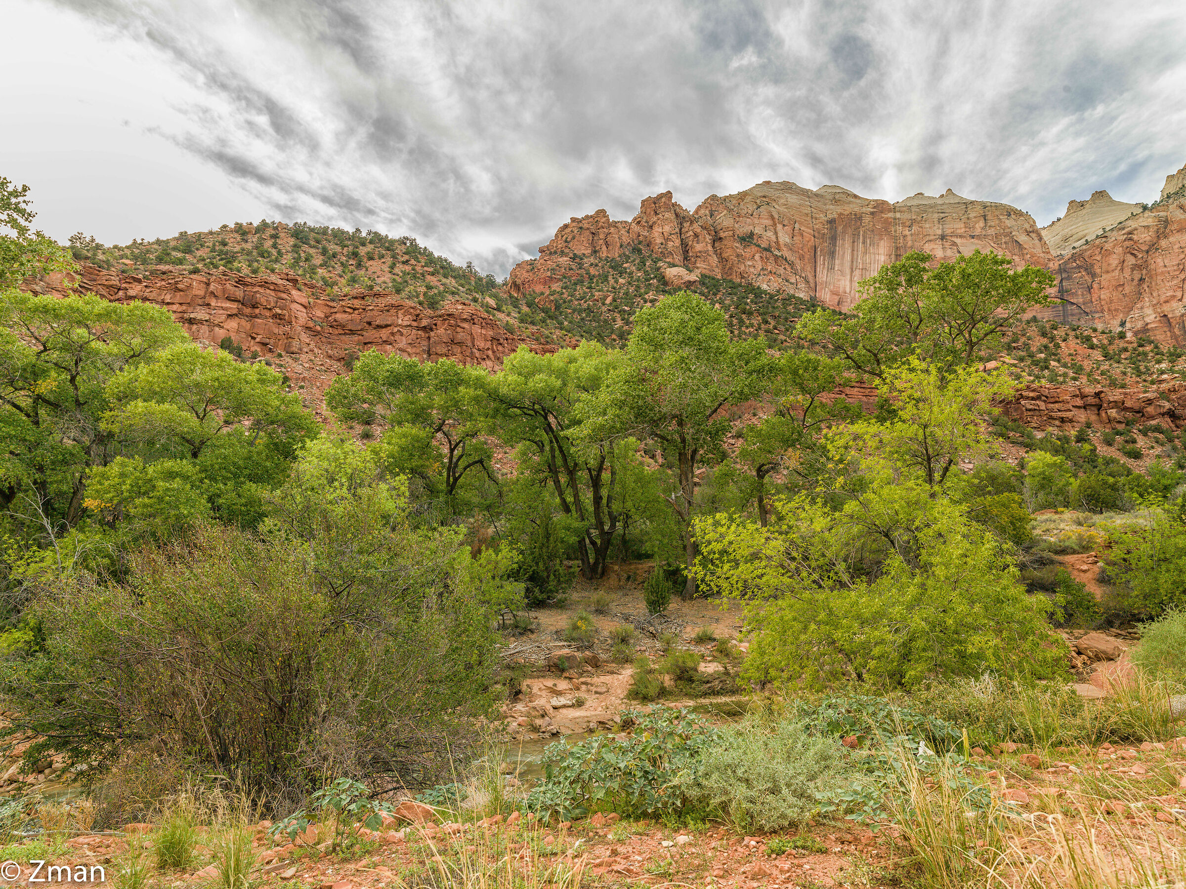 Zion National Park