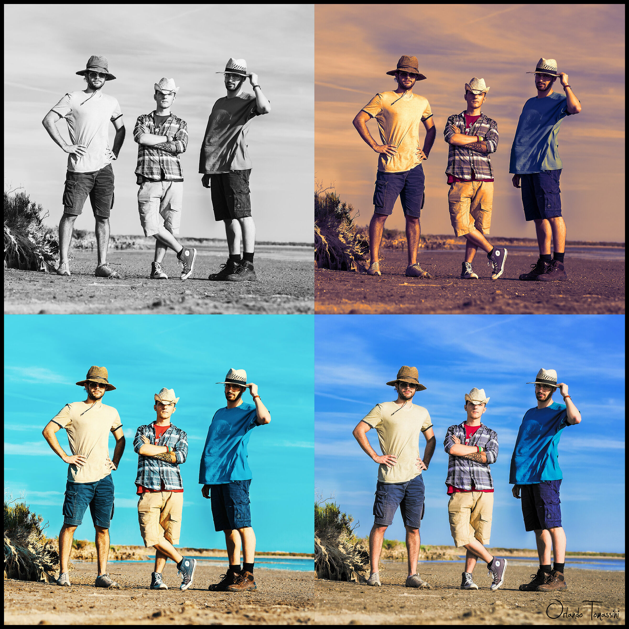 Amici alla Camargue reinterpretati