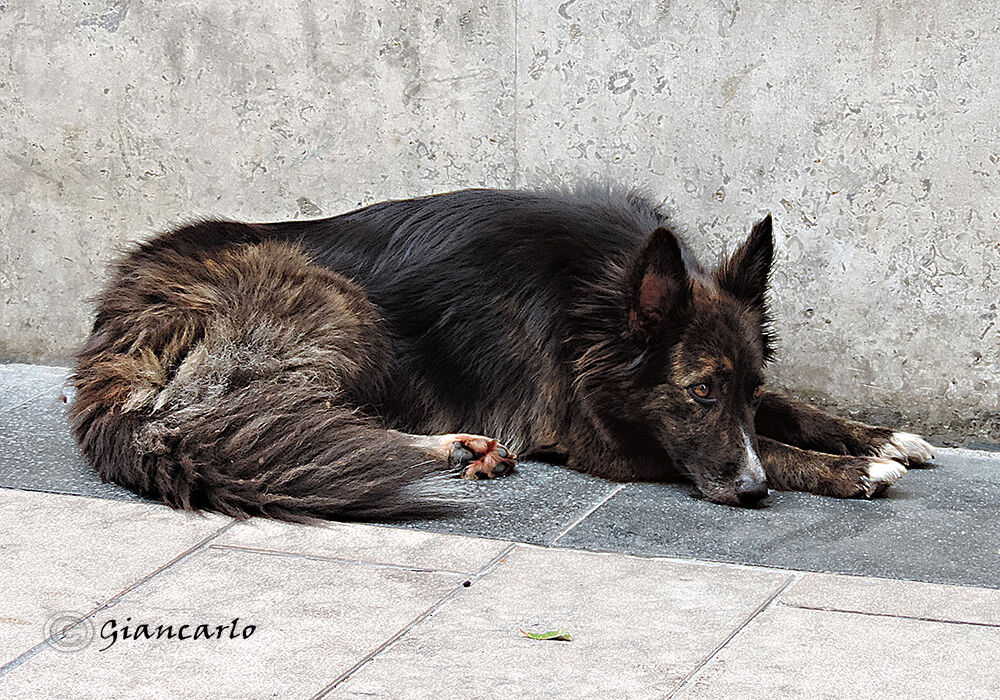 The world Goes Wrong