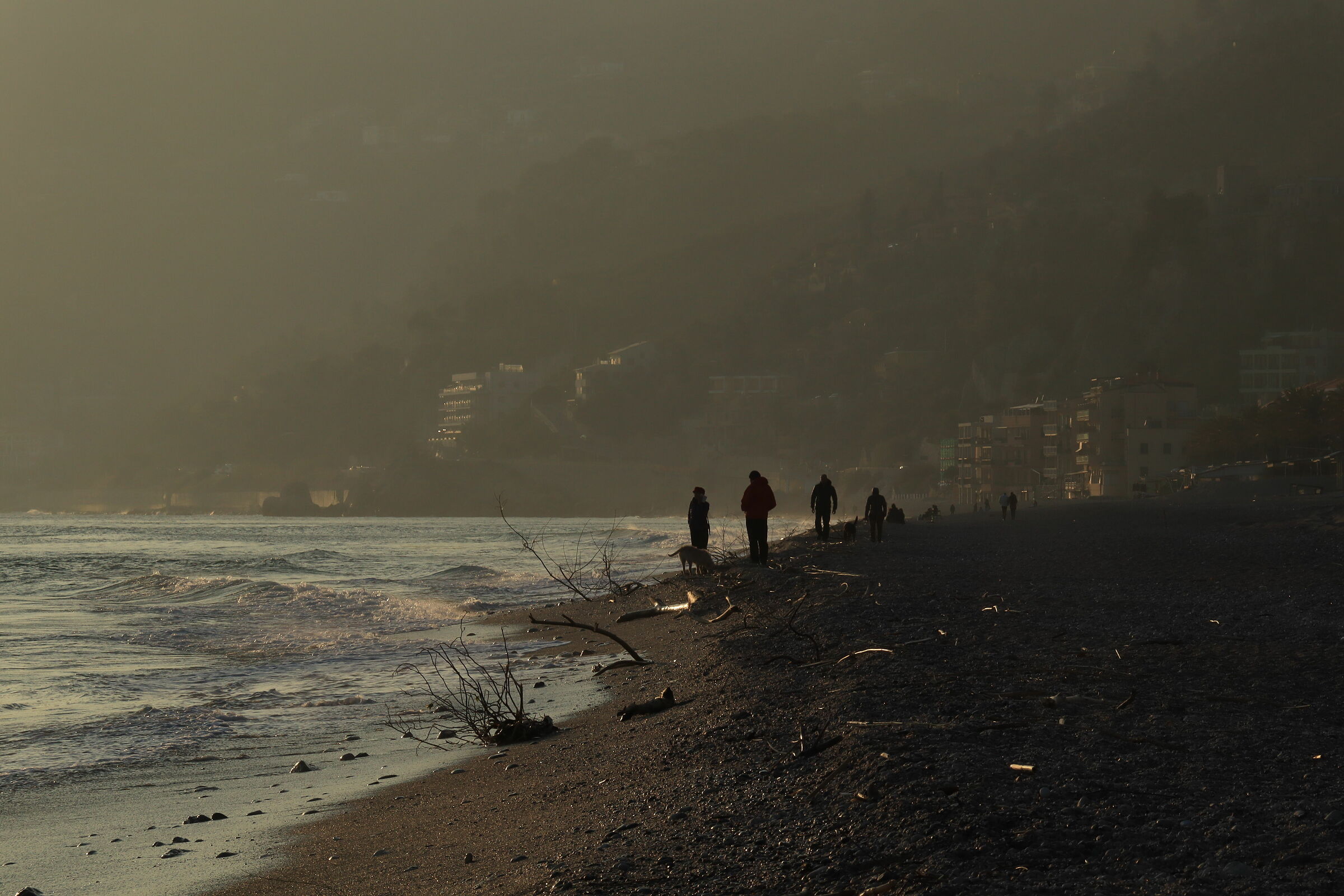 Strolling on the beach