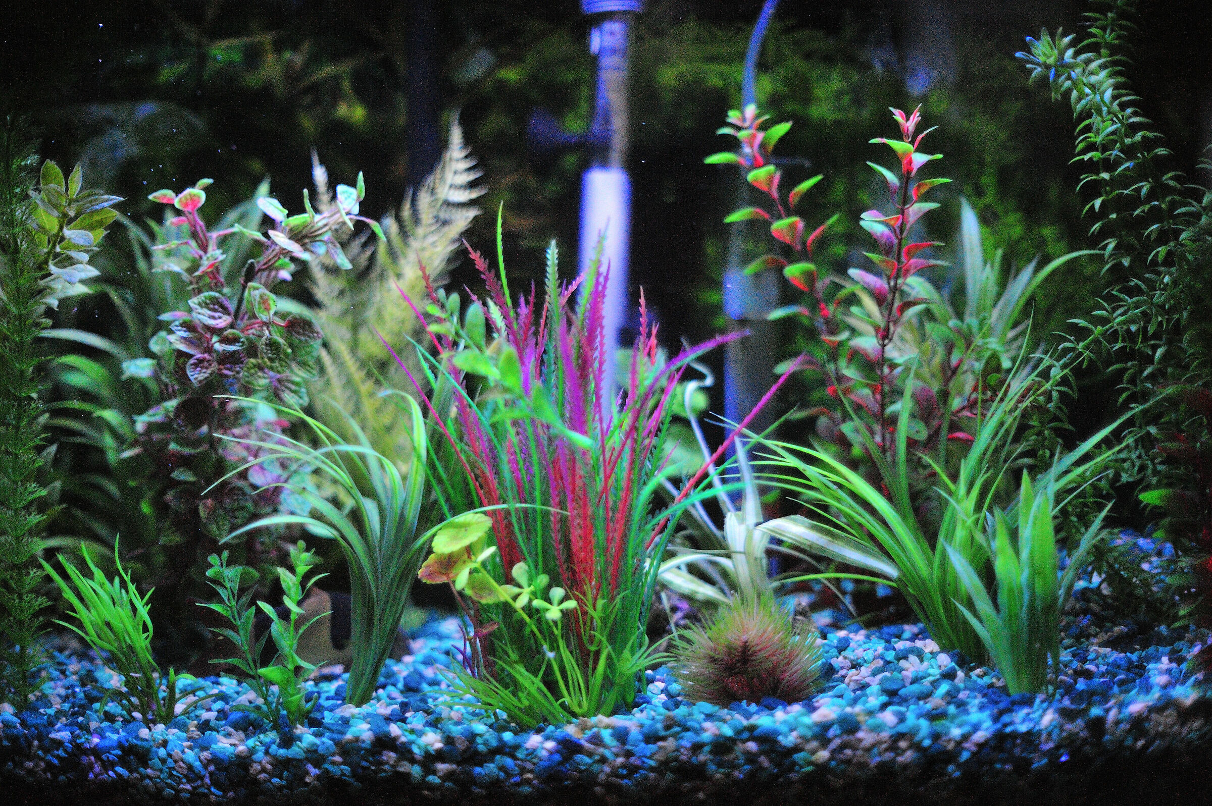 using custom Nature menu adjustments