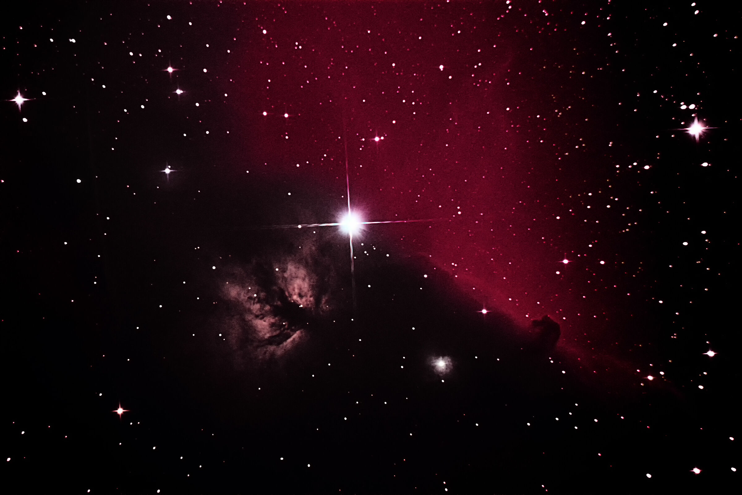 IC 434 e B33 testa di cavallo, in Orione