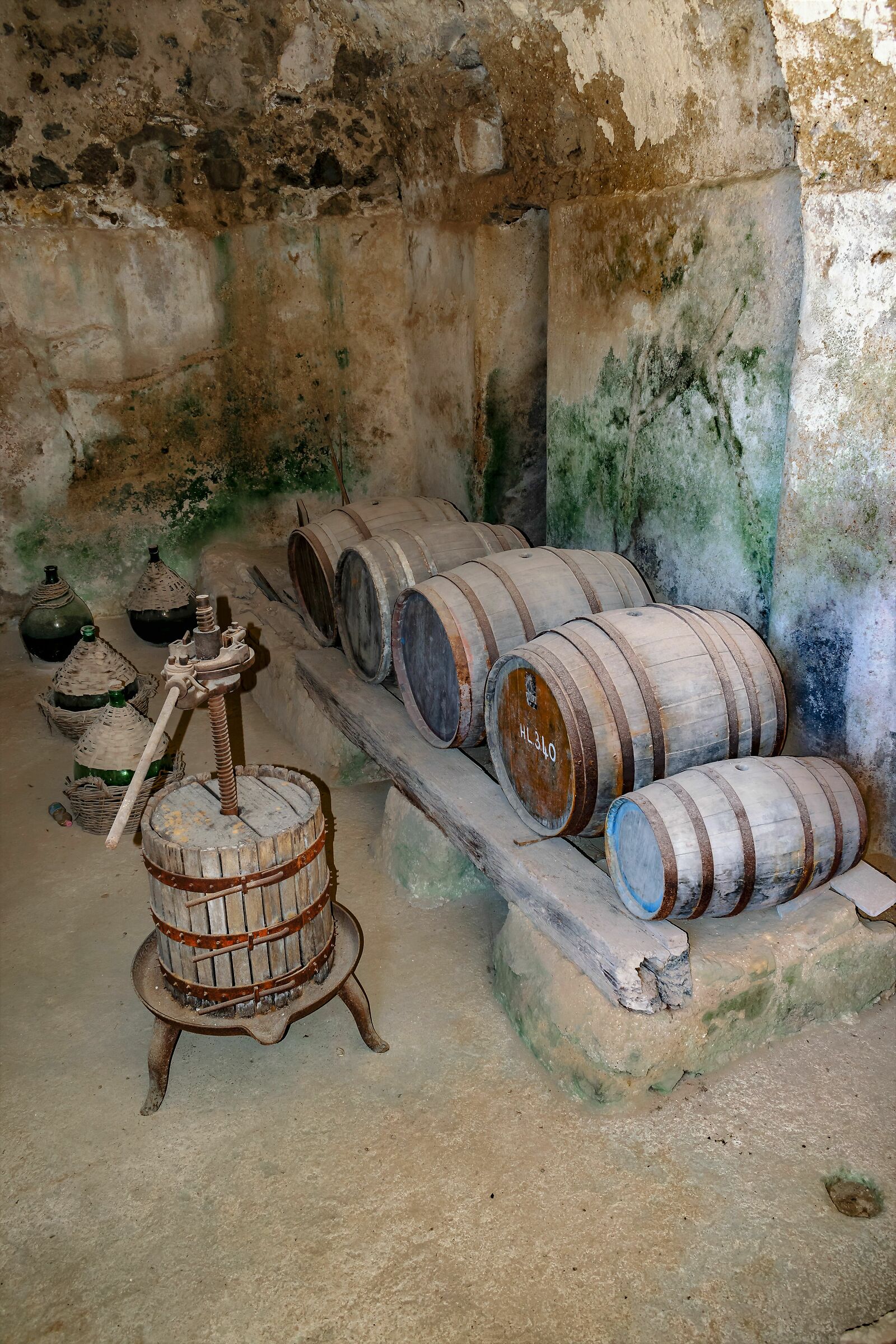 The cellar of the castle