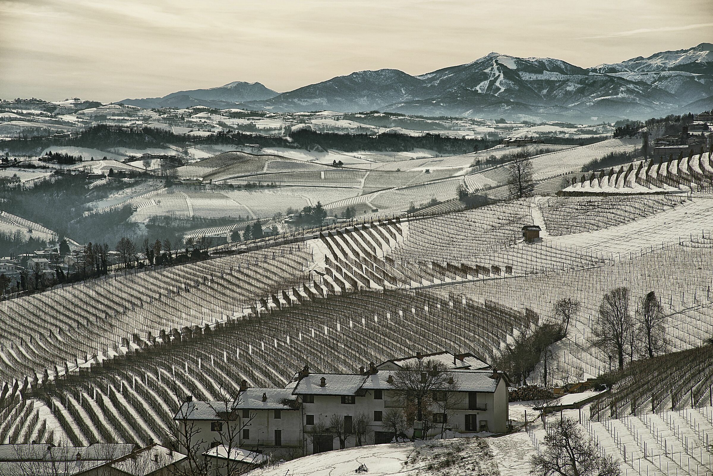 Langhe under the snow