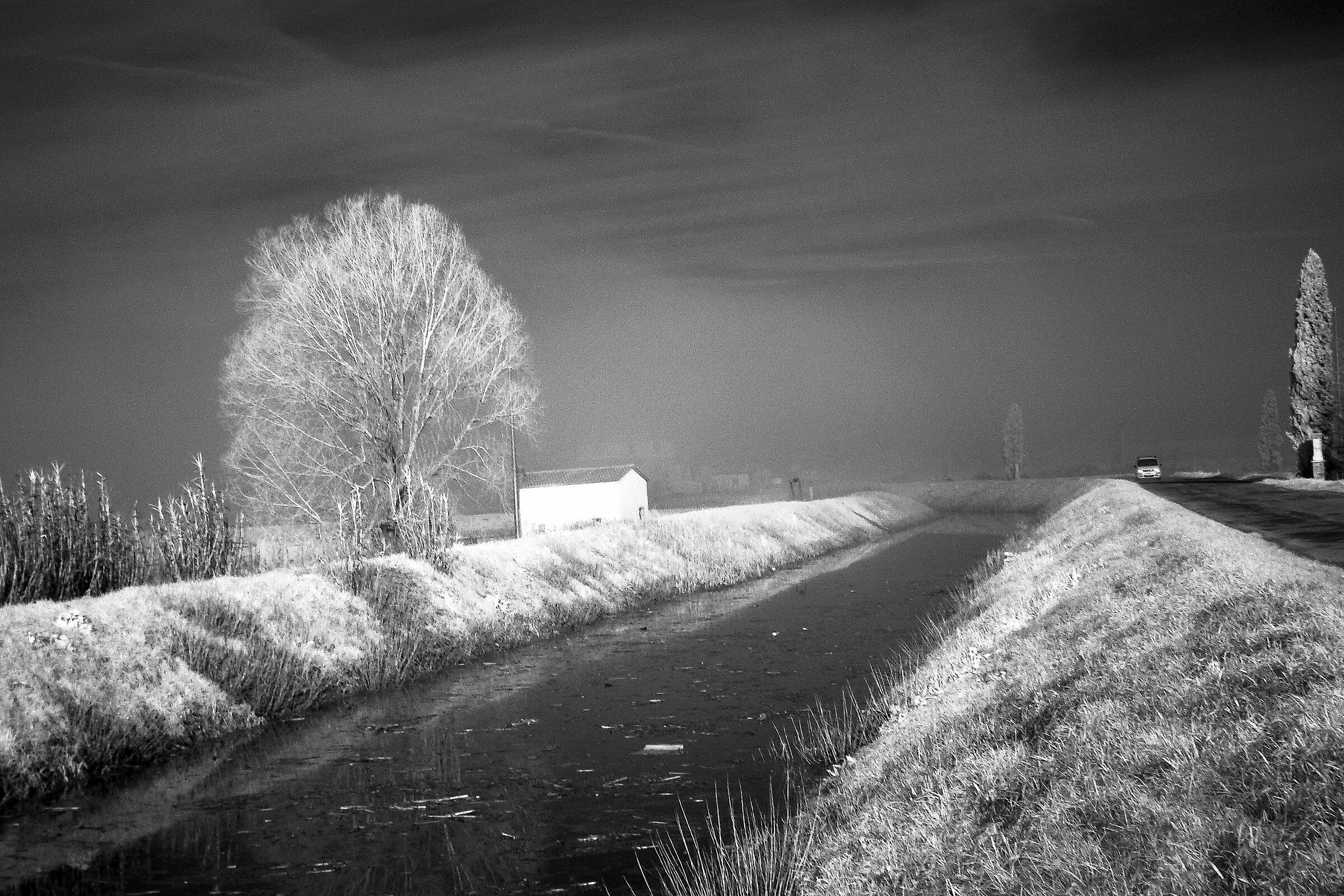 Padule  1 (Infrarosso )