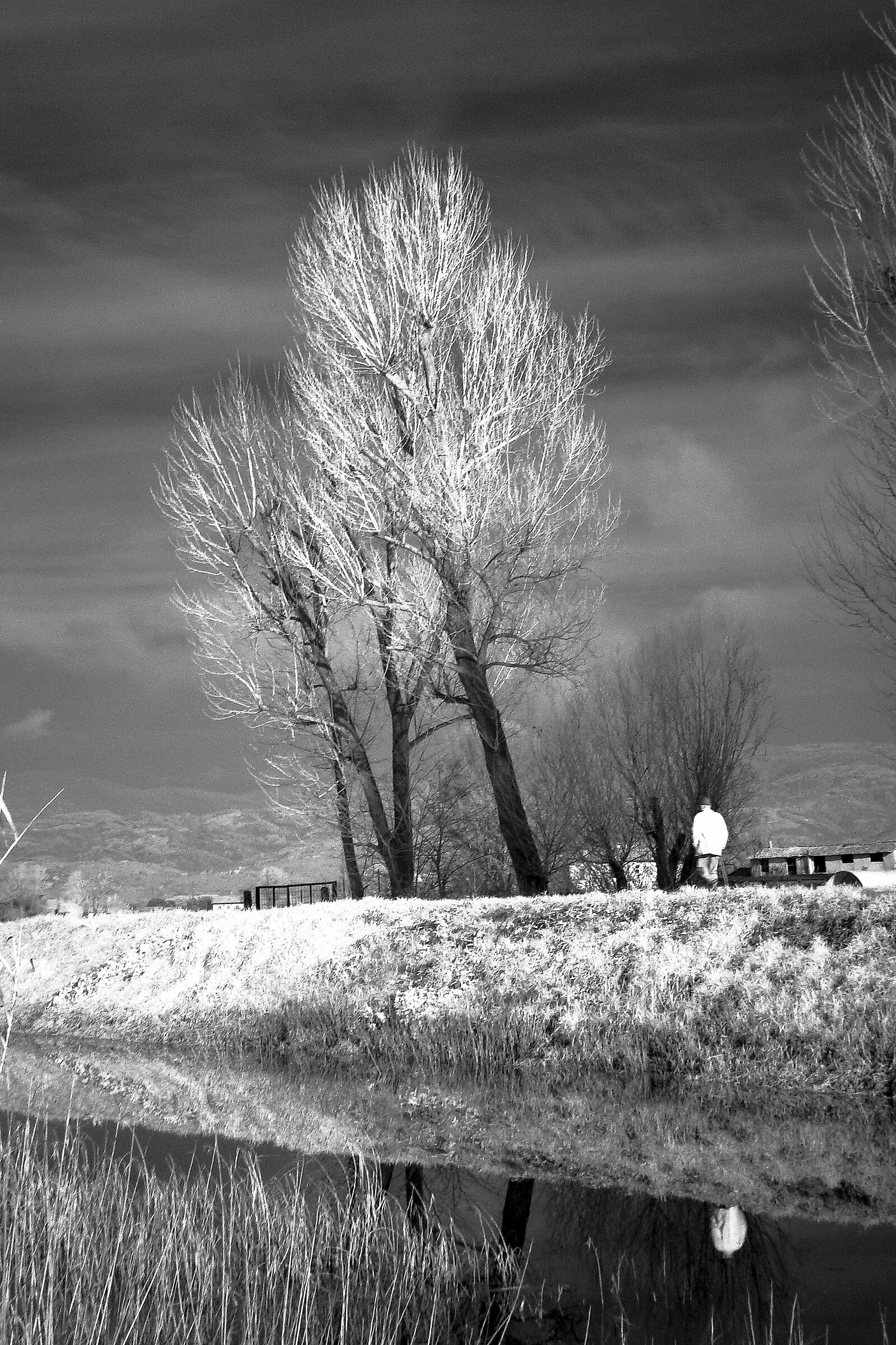 Padule  2 (Infrarosso )