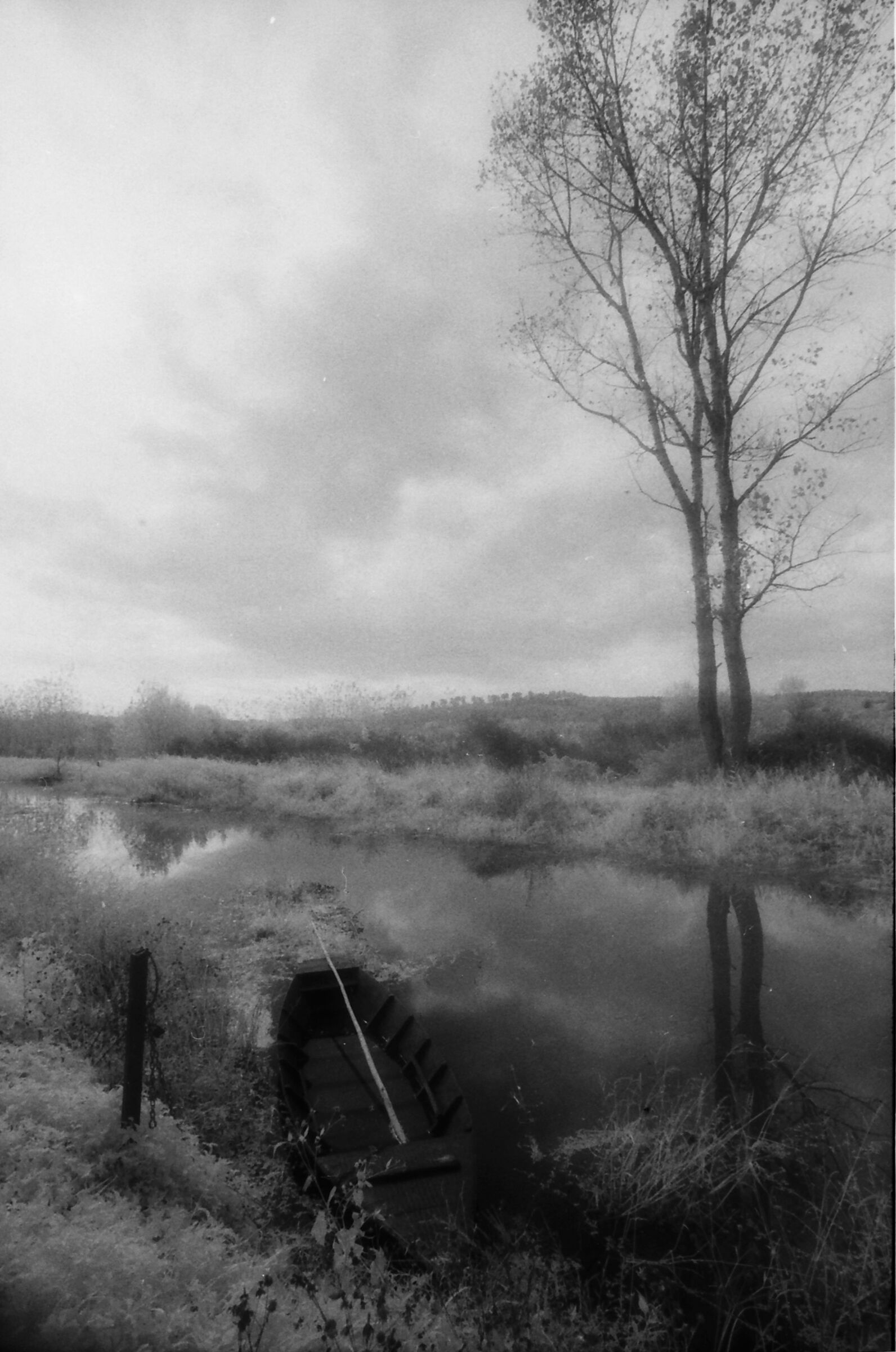 Padule  3 (Infrarosso )