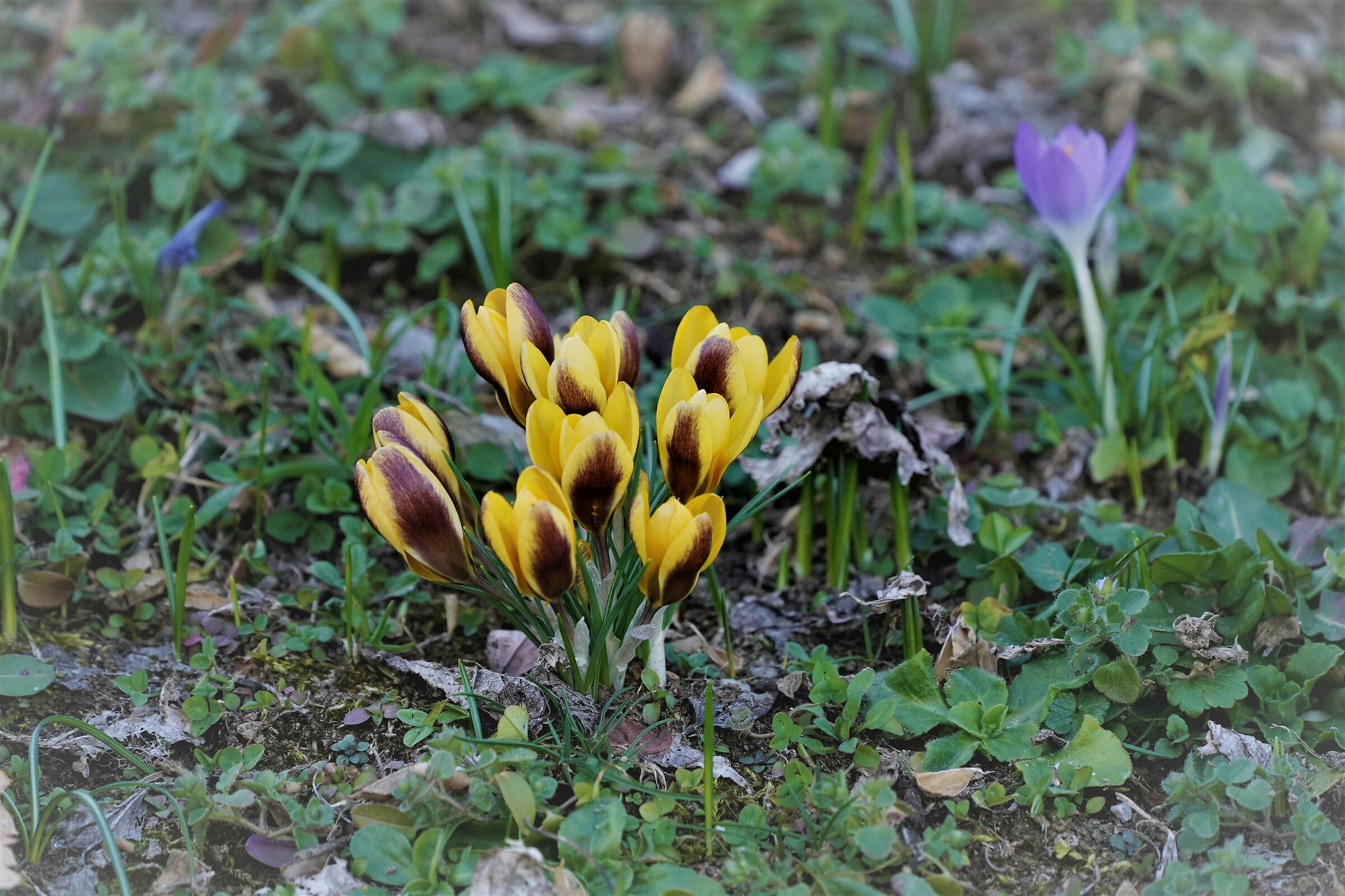 WELCOME SPRING!!!! Weather