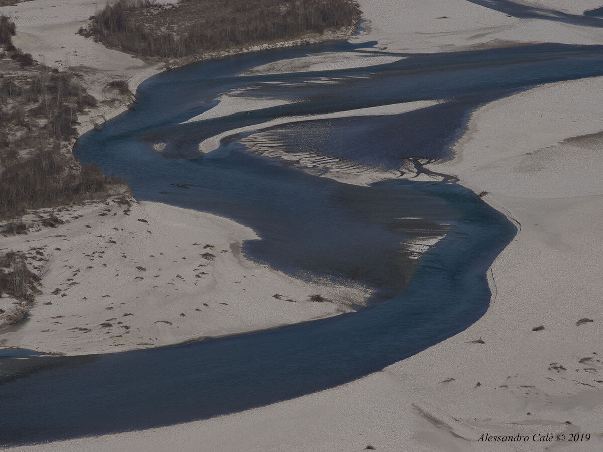 Le anse del Tagliamento 8798
