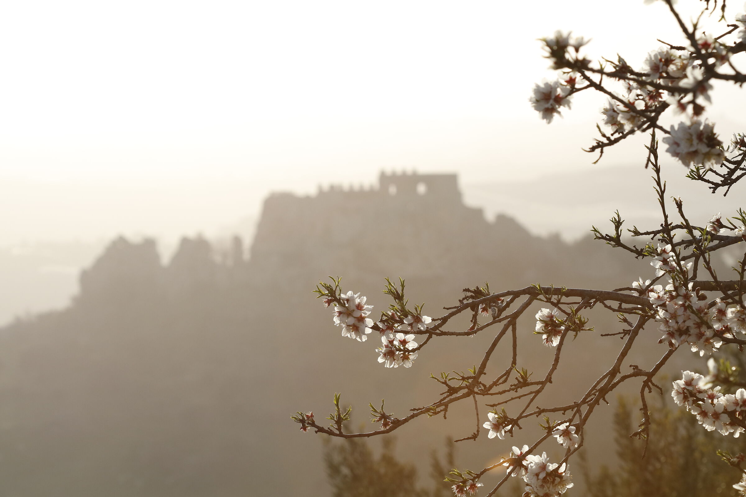 Exit to the Awakening of Nature 2