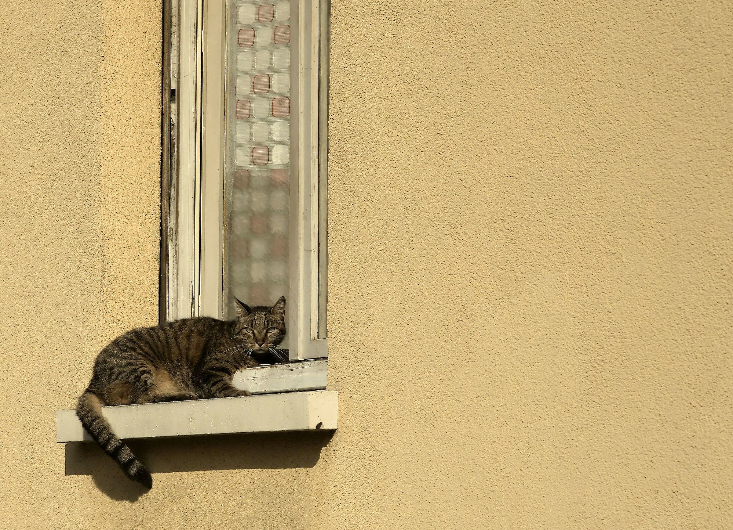 "Open the Windows to the new sun..."