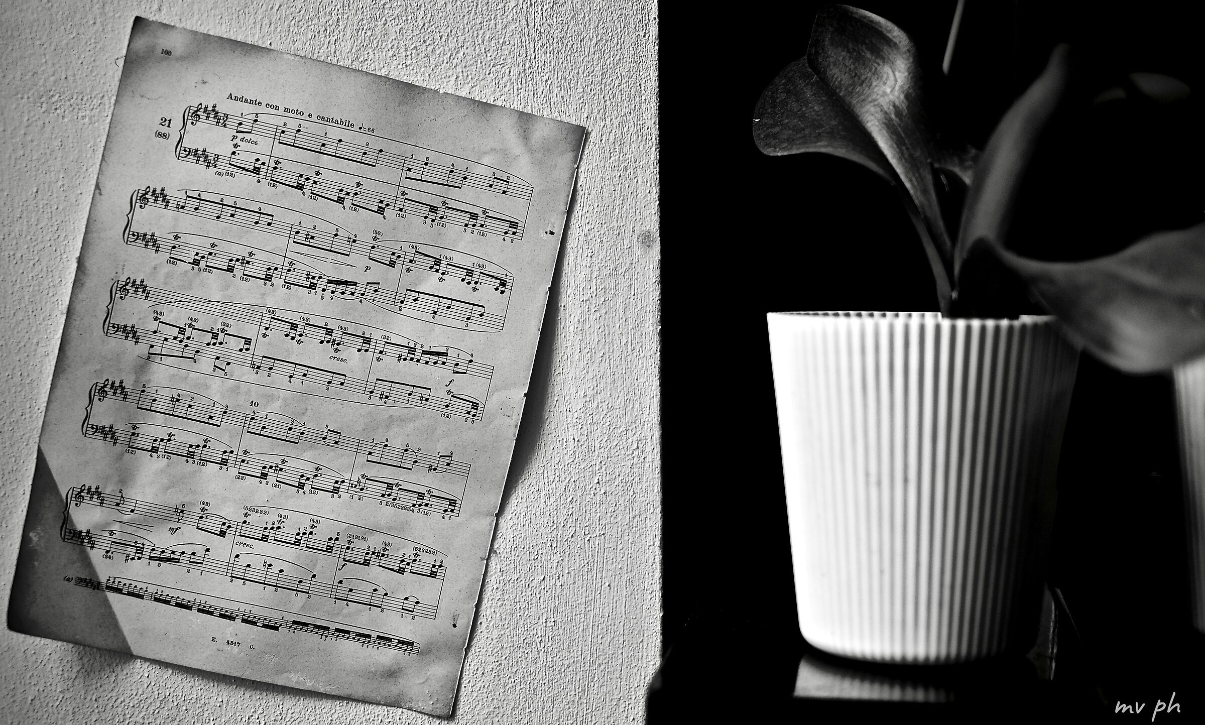 Black or white