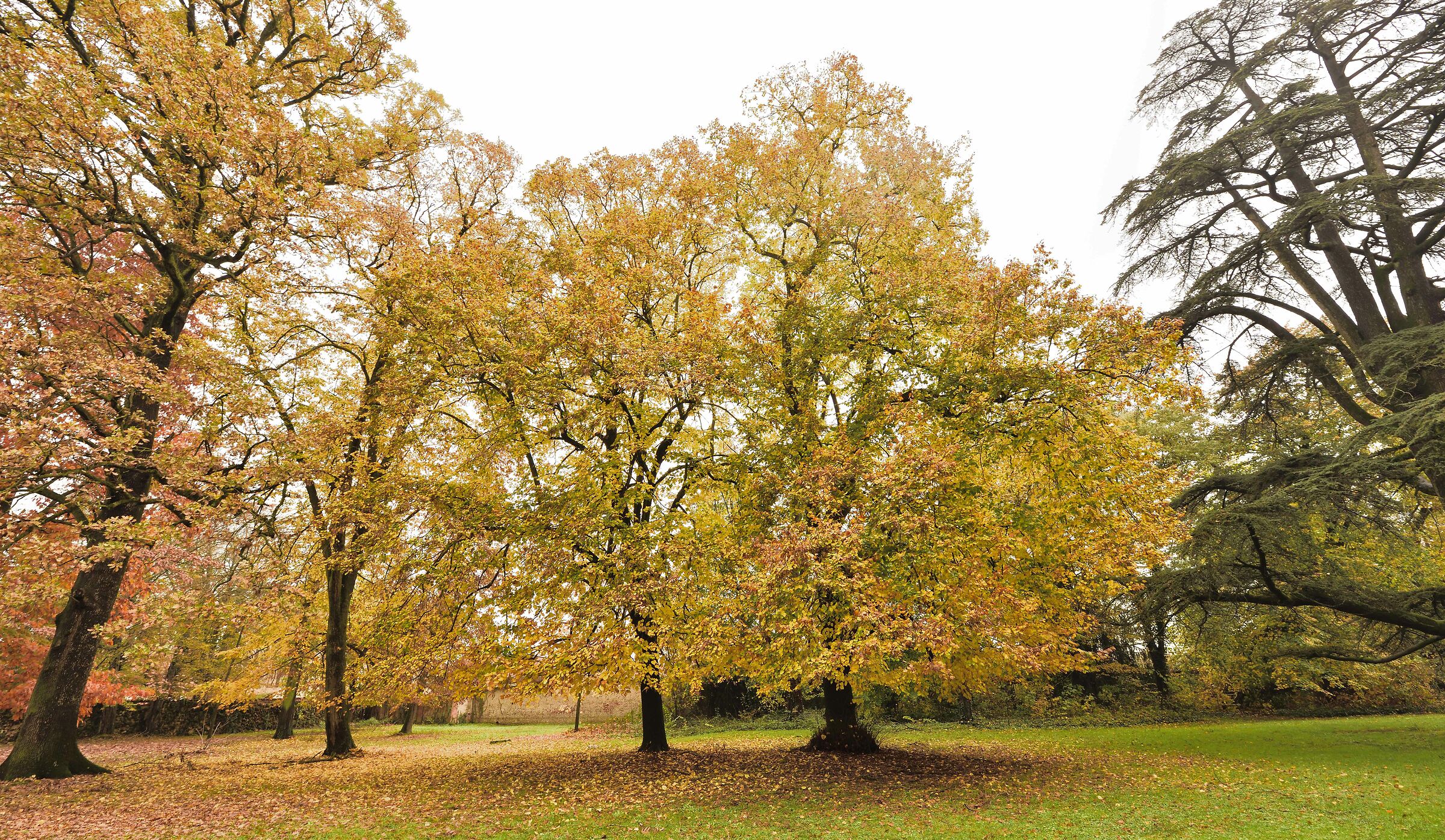 The park of Villa Badia