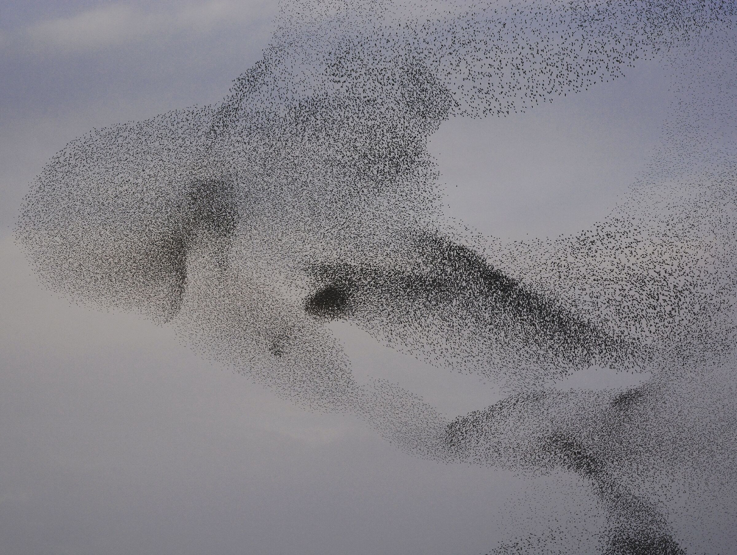 Artists of heaven: Thousands of stars draw the sky