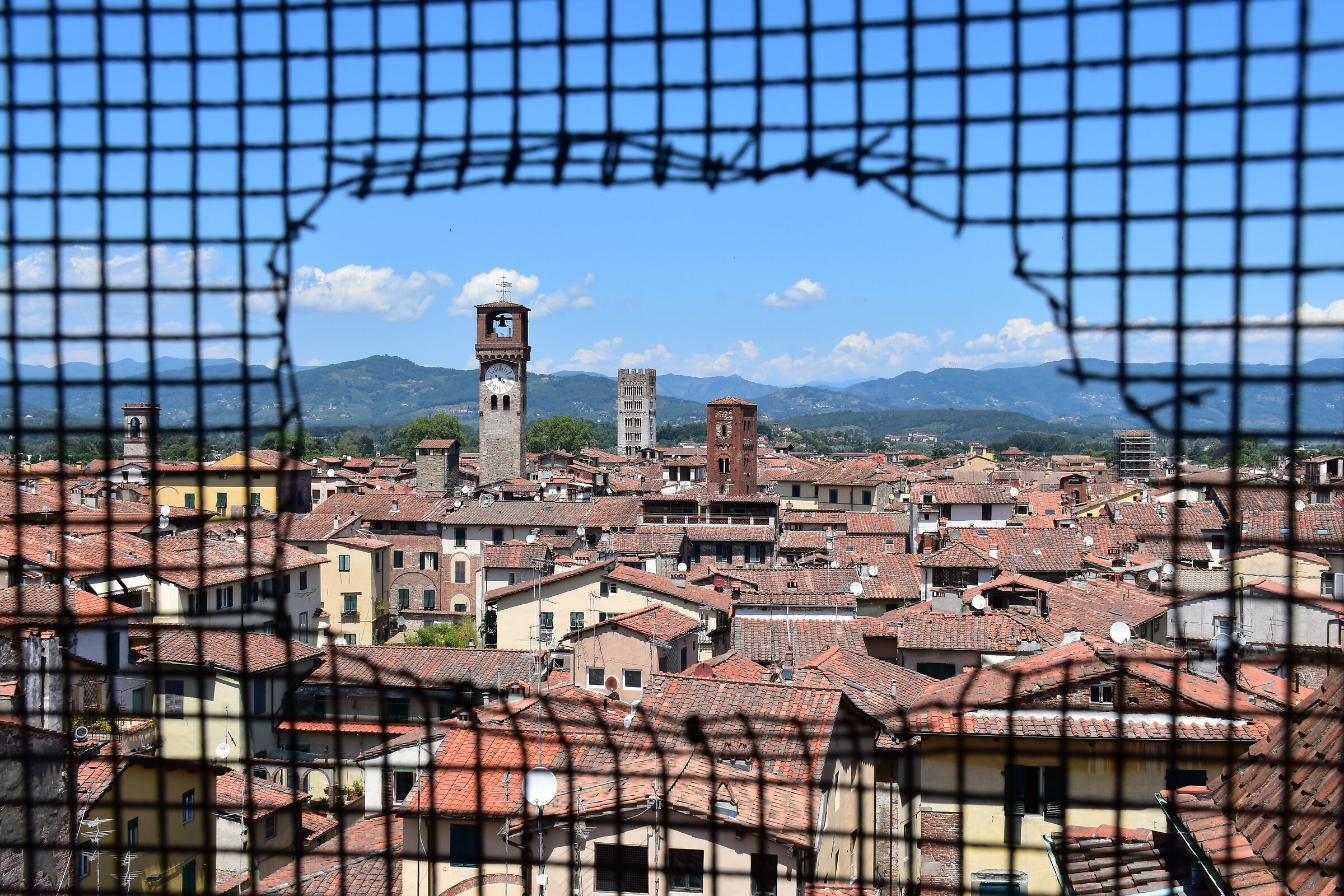 Siena from the Campanile