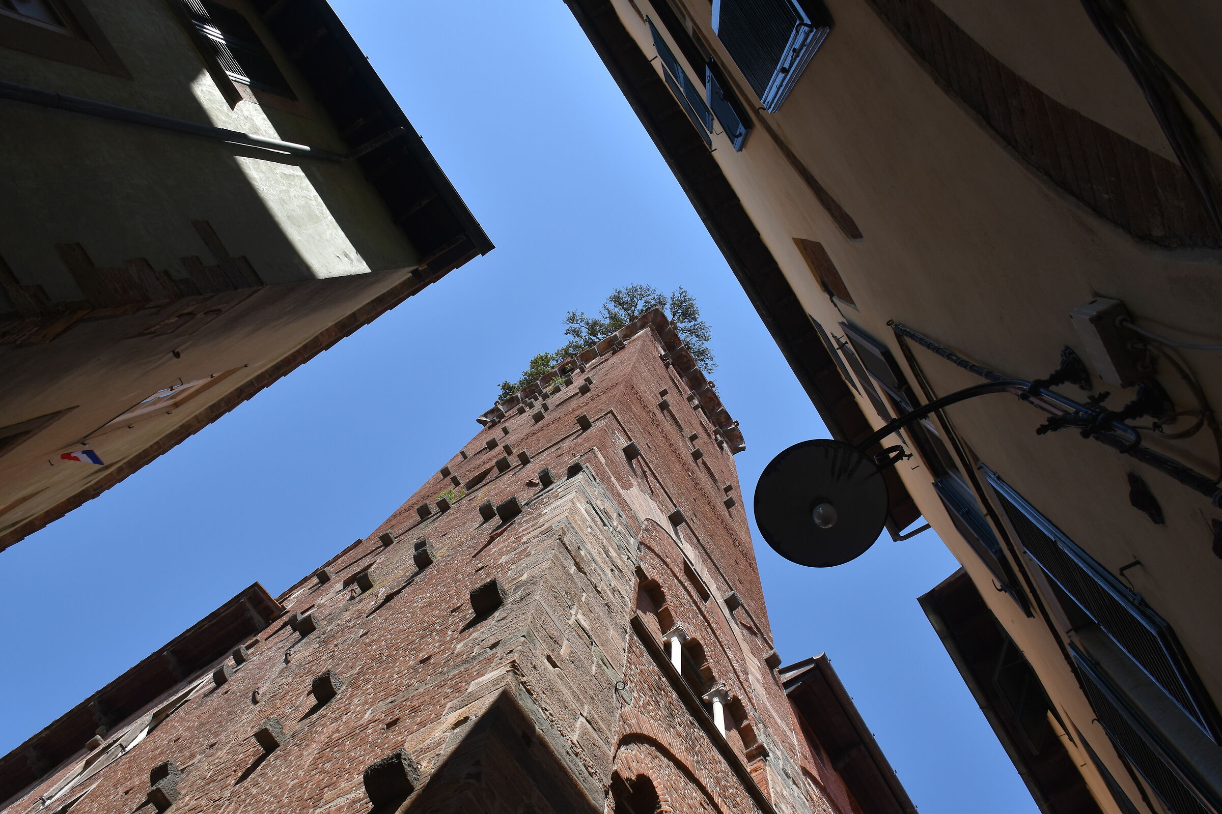 Siena under the Tower