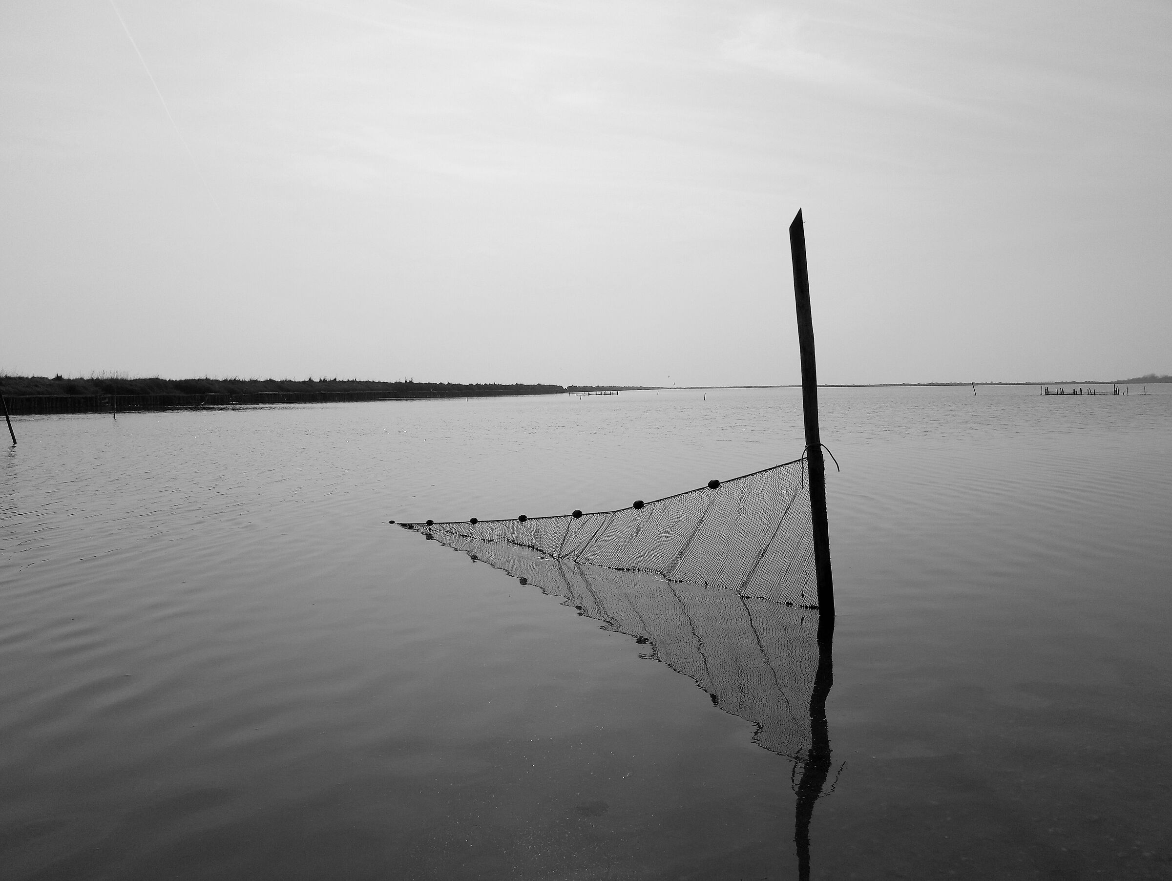 Saline - Lido di Spina