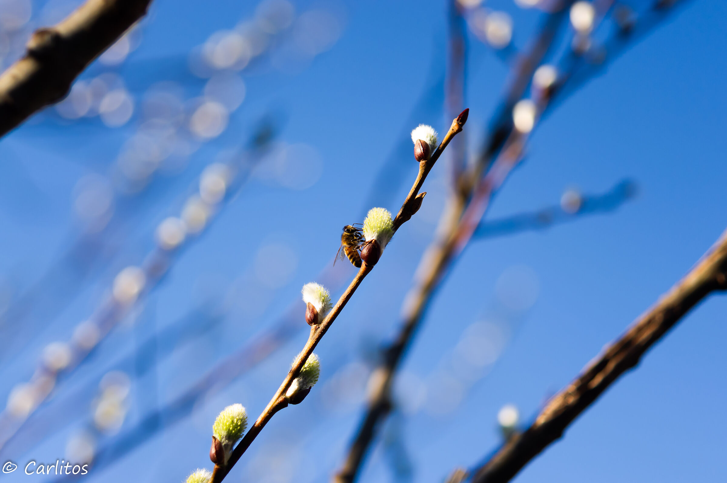 Stanno lavorando per noi