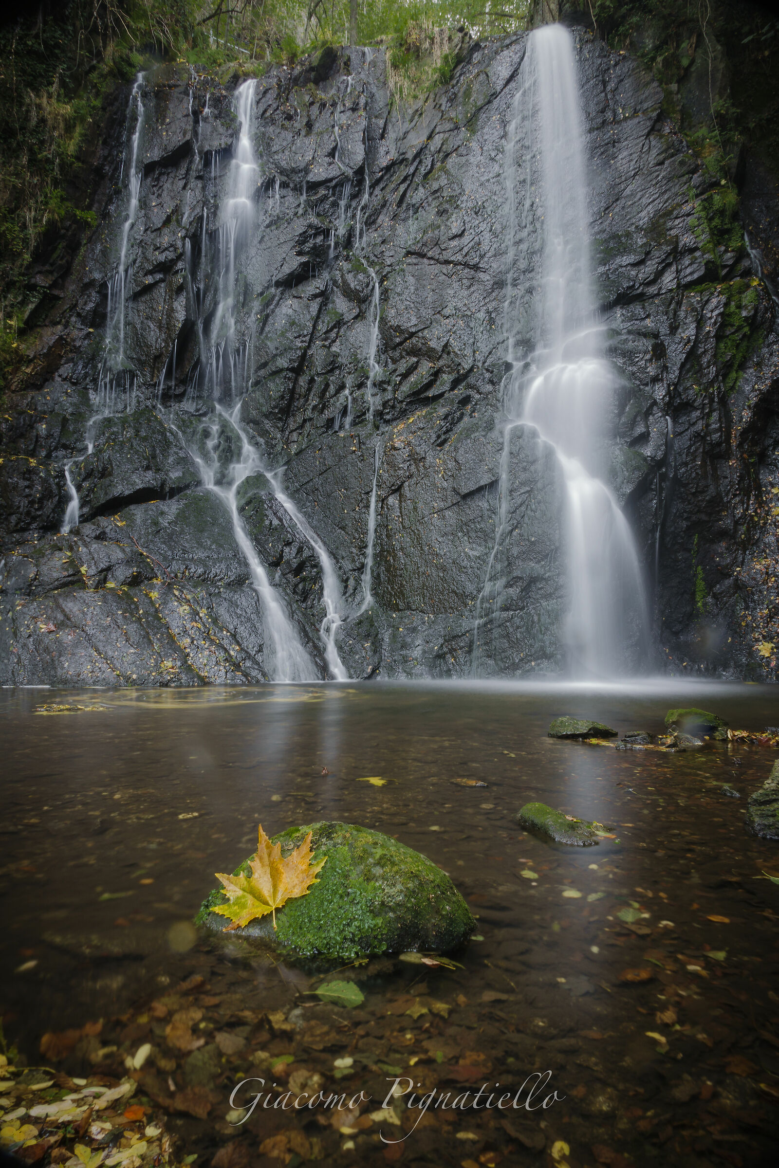 Minimalismo d'autunno