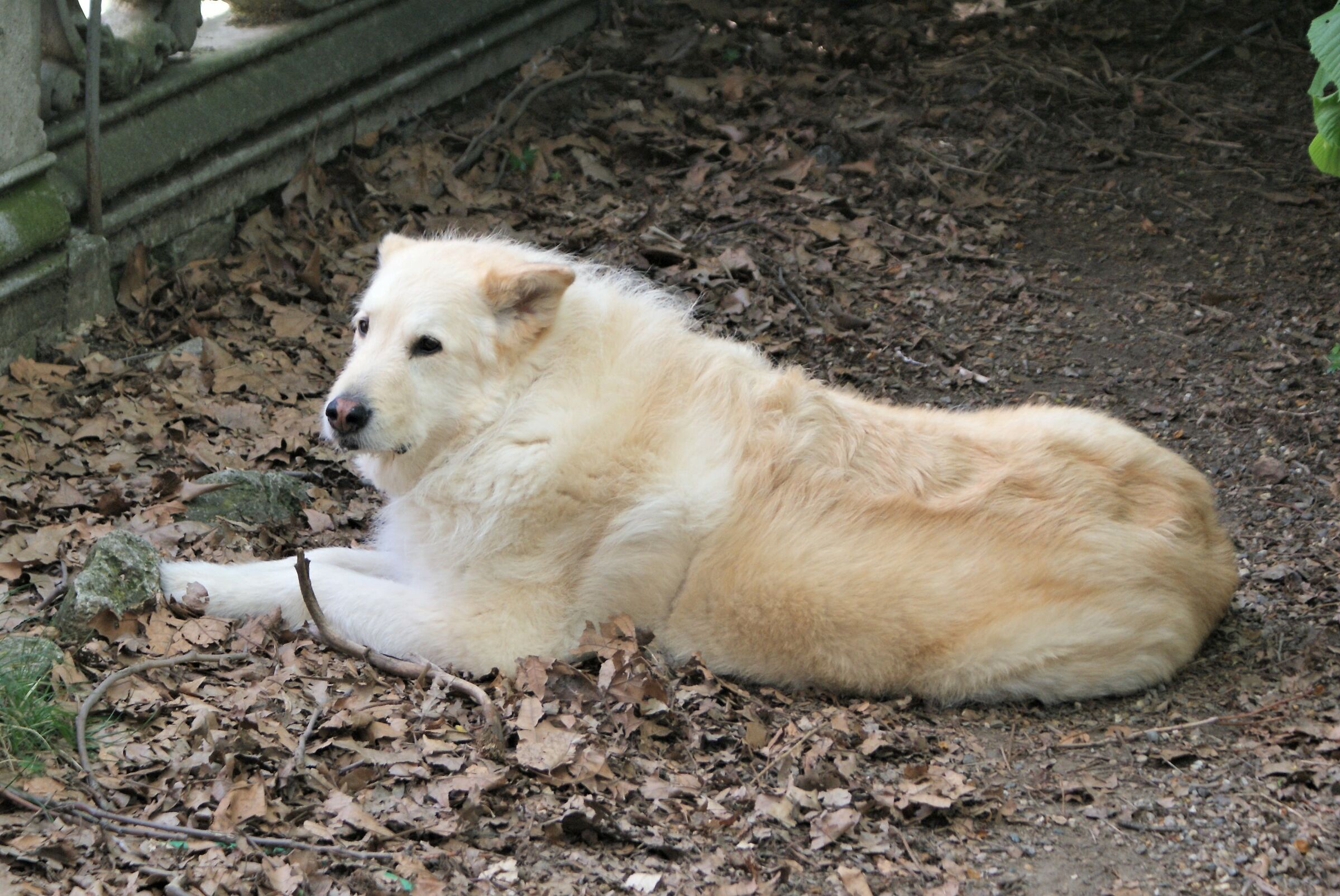 ... And a memory of Baldo