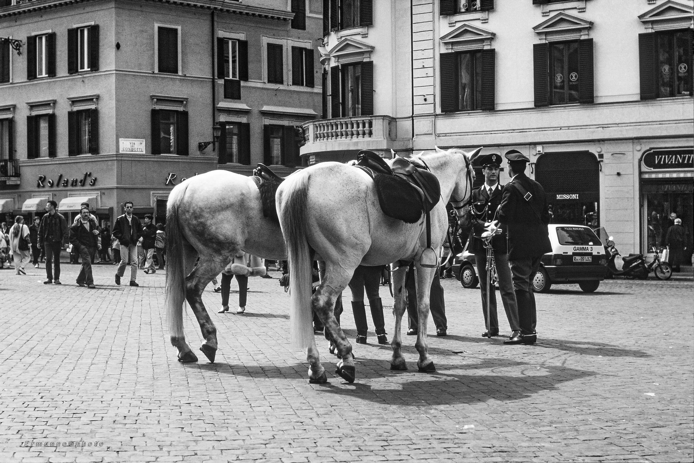 White Horses in Synchro