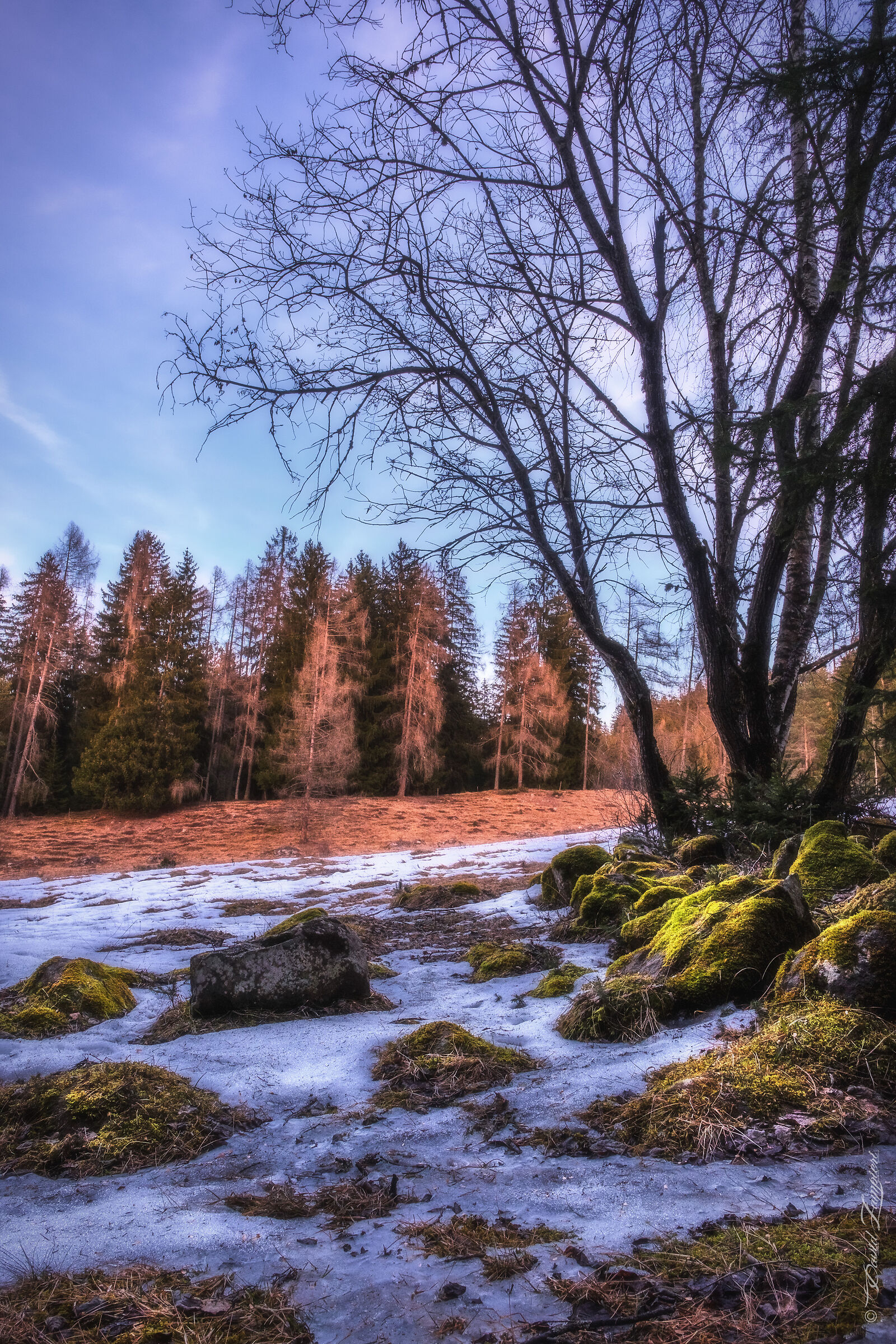 Val Moena-Valdifiemme