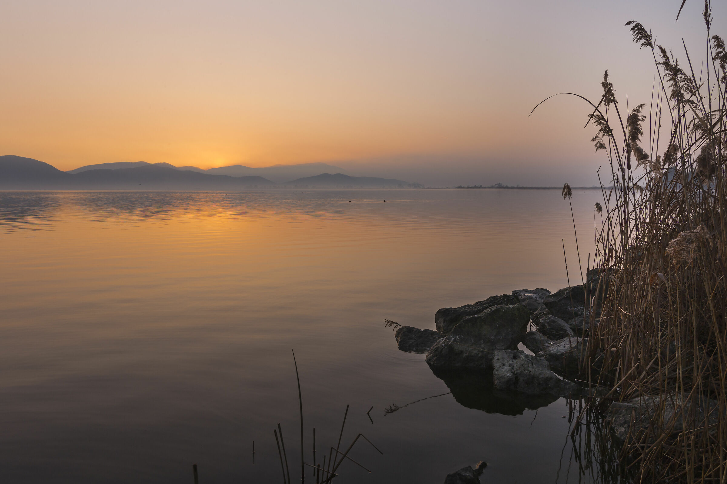 Lago di Massaciuccoli