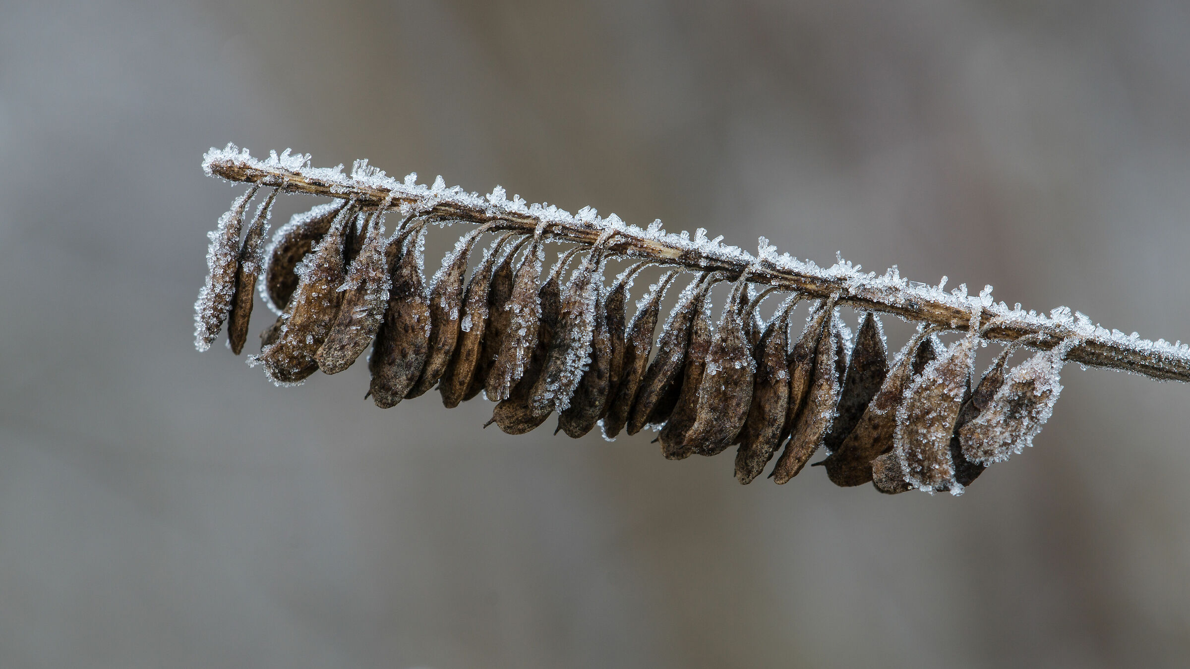 ... It's still early to say spring...