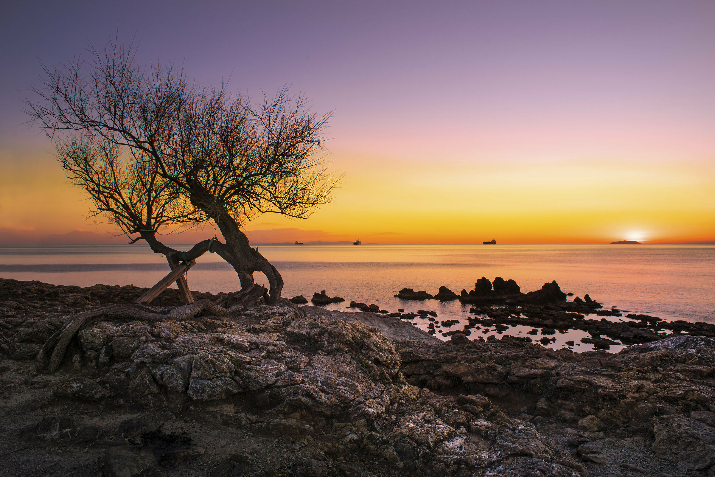 La Tamerice di Antignano