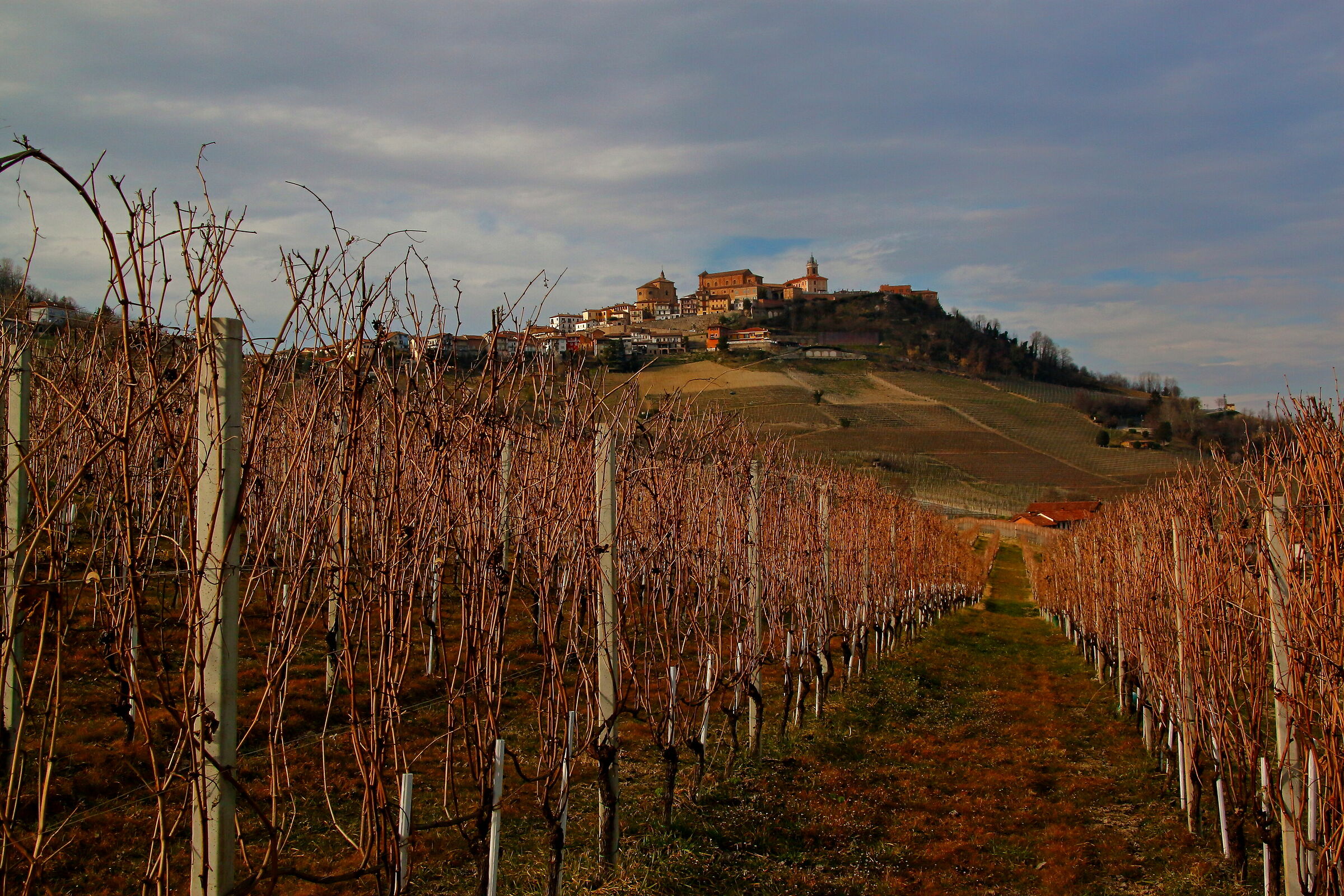 A glimpse of the Langhe